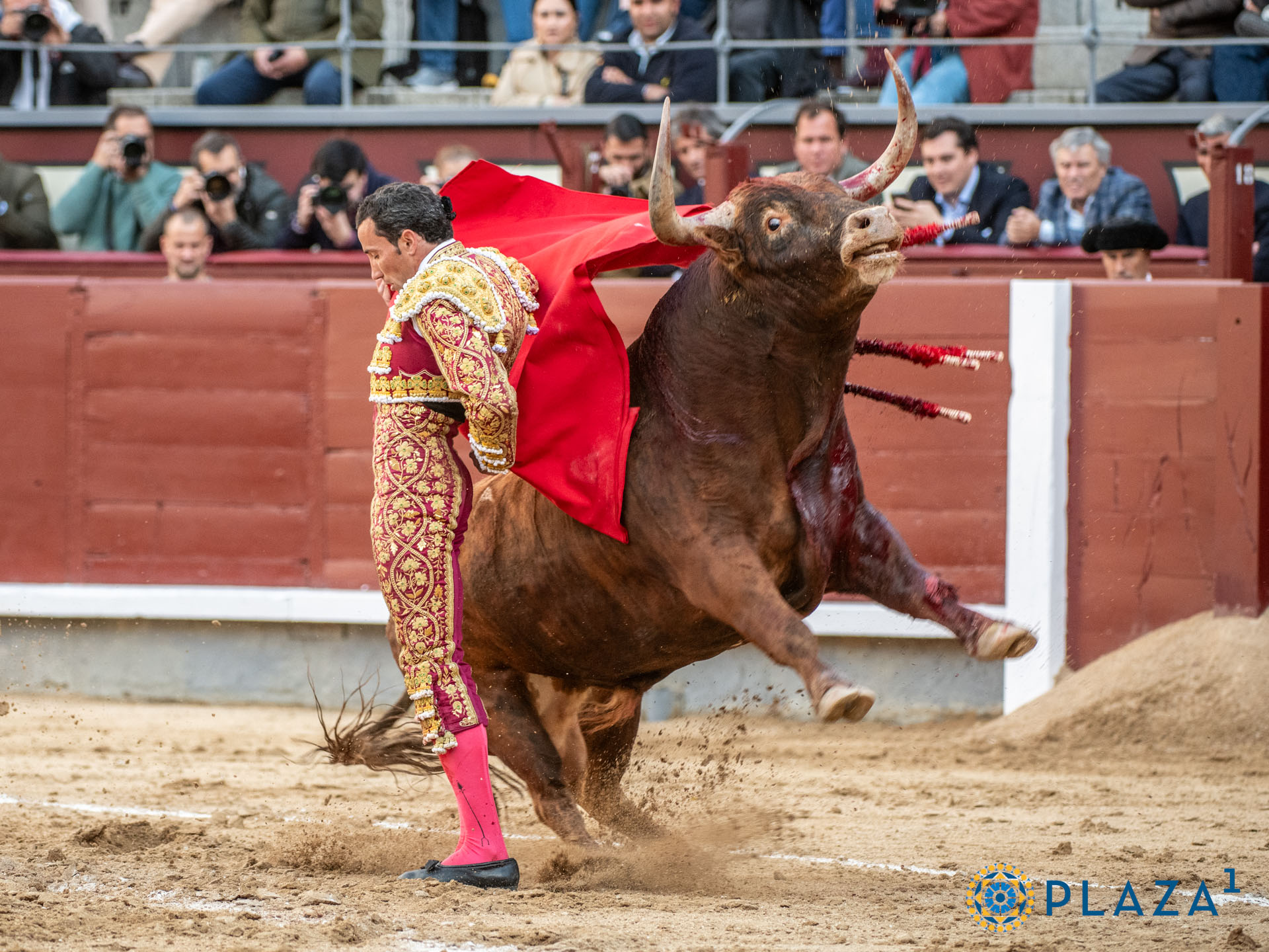 <p>Foto: Alfredo Arévalo / Plaza 1</p>