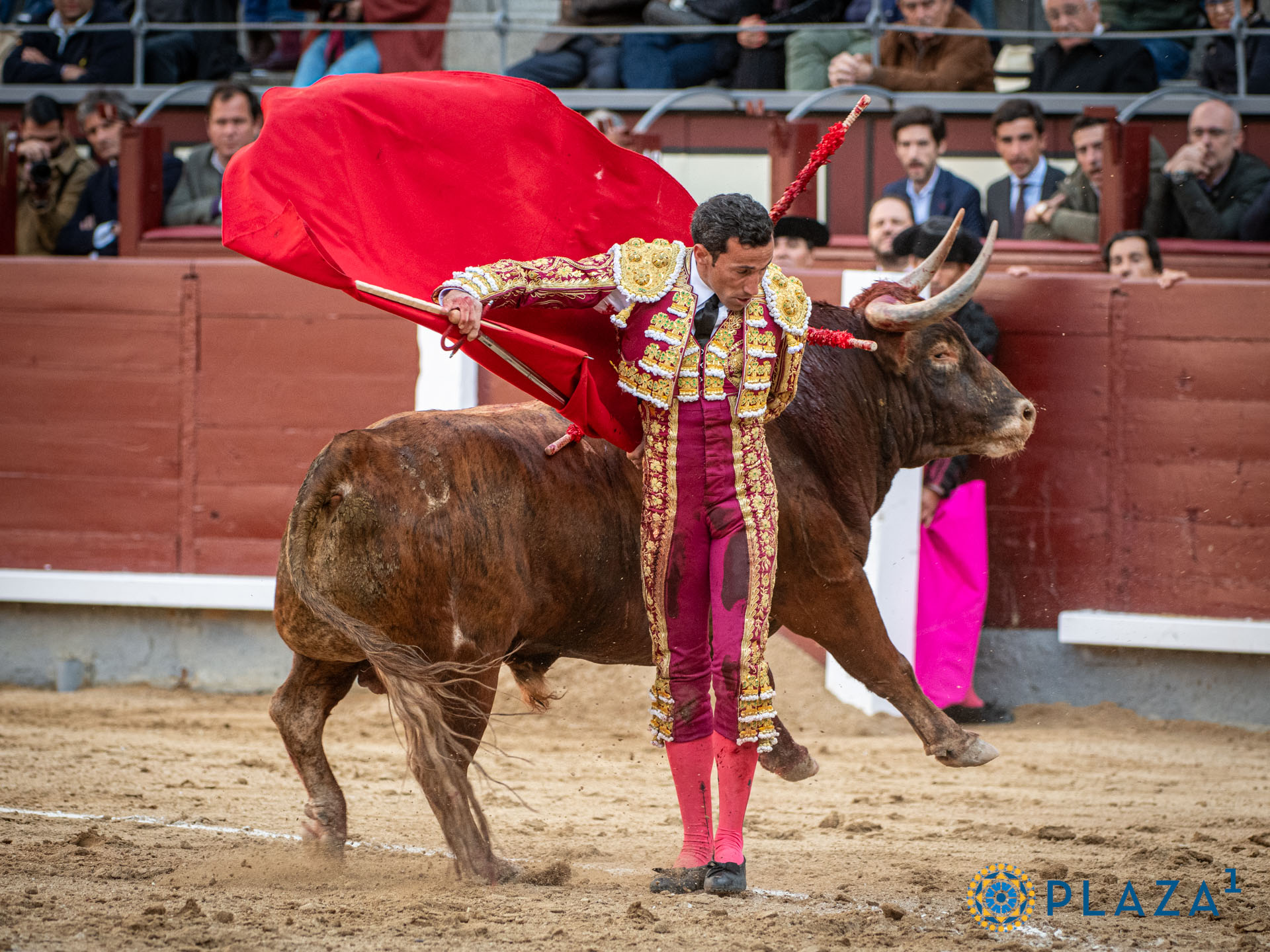 <p>Foto: Alfredo Arévalo / Plaza 1</p>