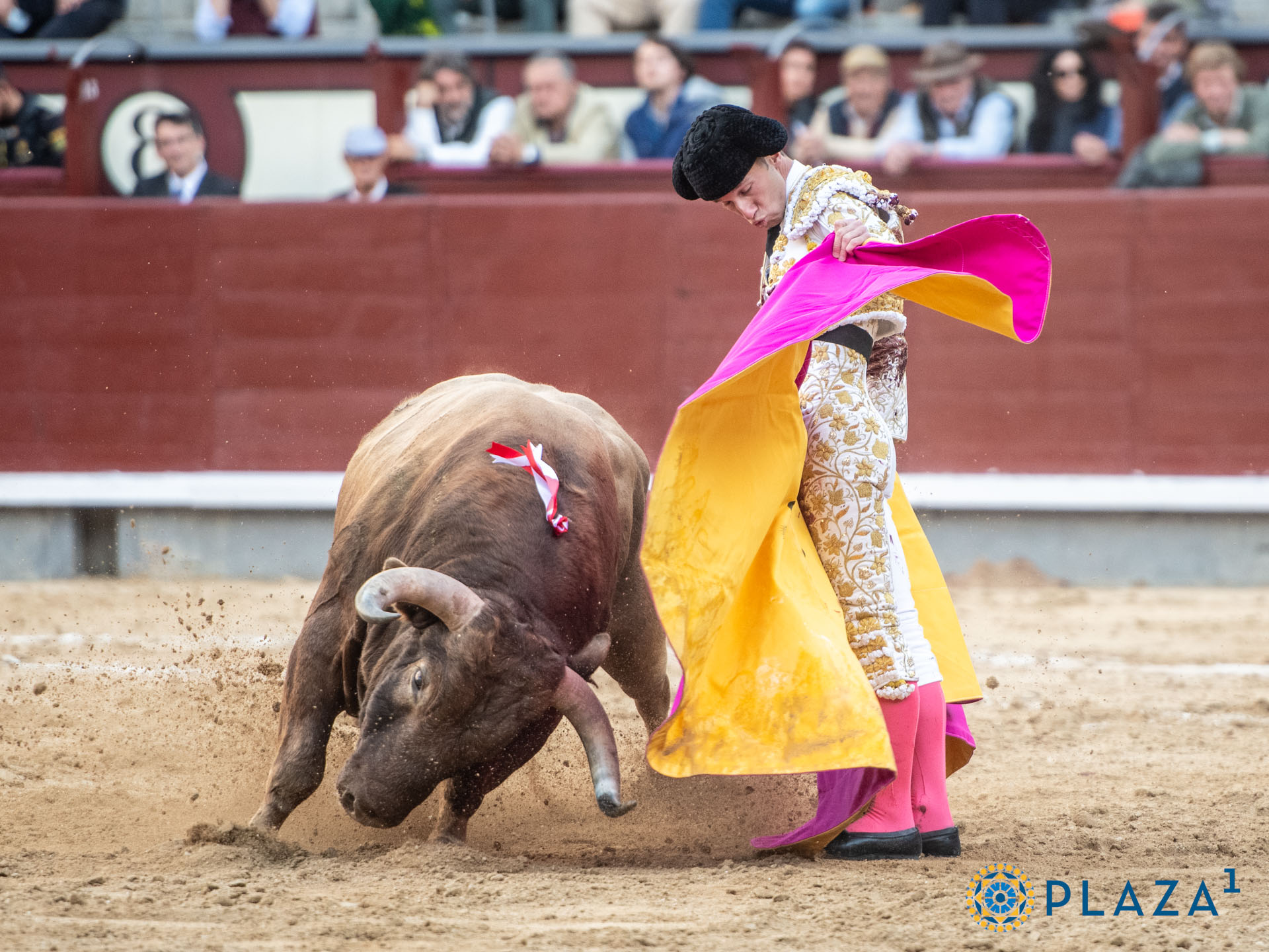 <p>Foto: Alfredo Arévalo / Plaza 1</p>
