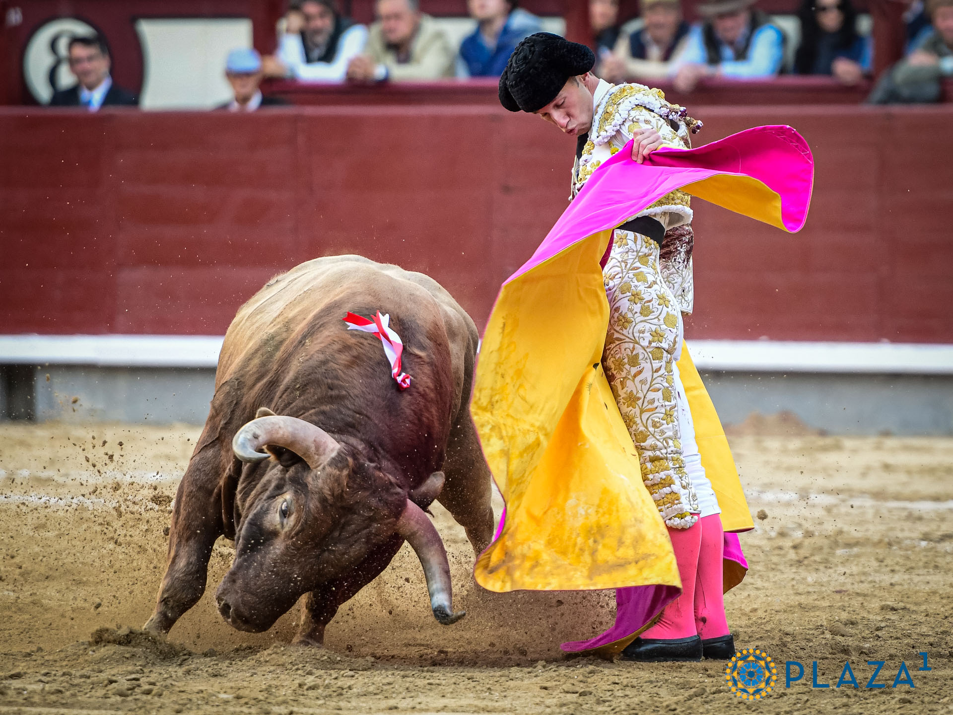 <p>Foto: Alfredo Arévalo / Plaza 1</p>