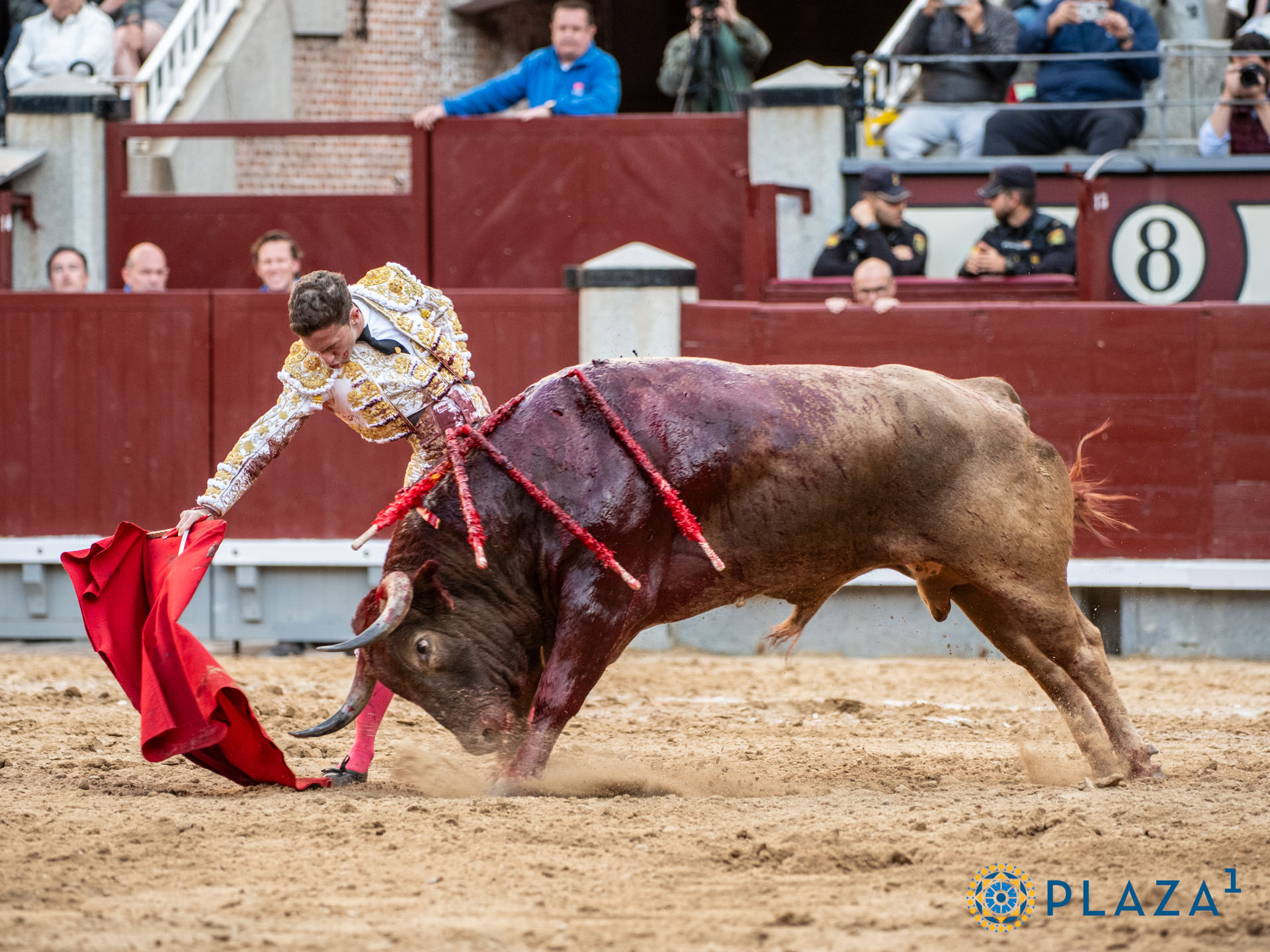<p>Foto: Alfredo Arévalo / Plaza 1</p>