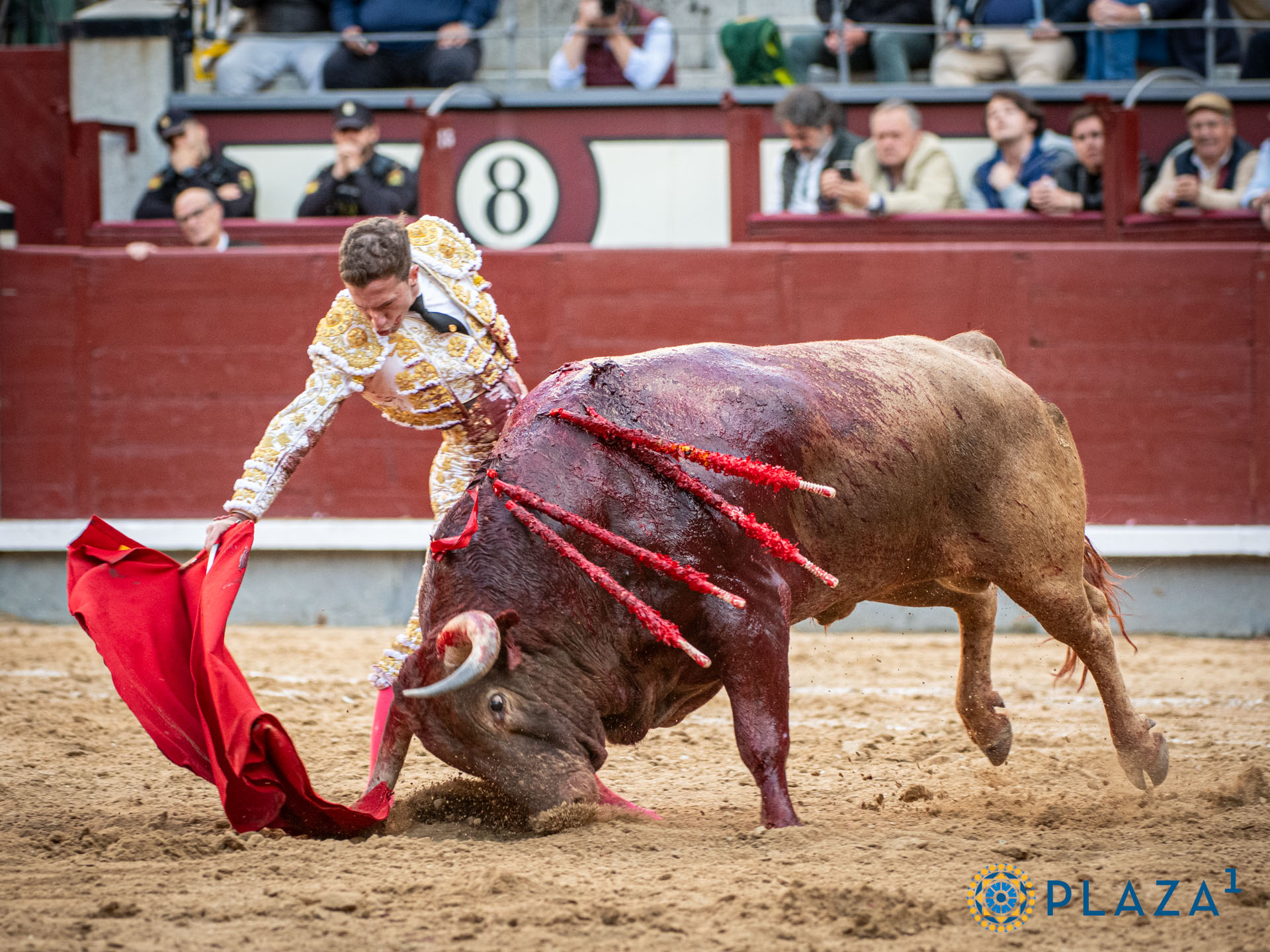 <p>Foto: Alfredo Arévalo / Plaza 1</p>