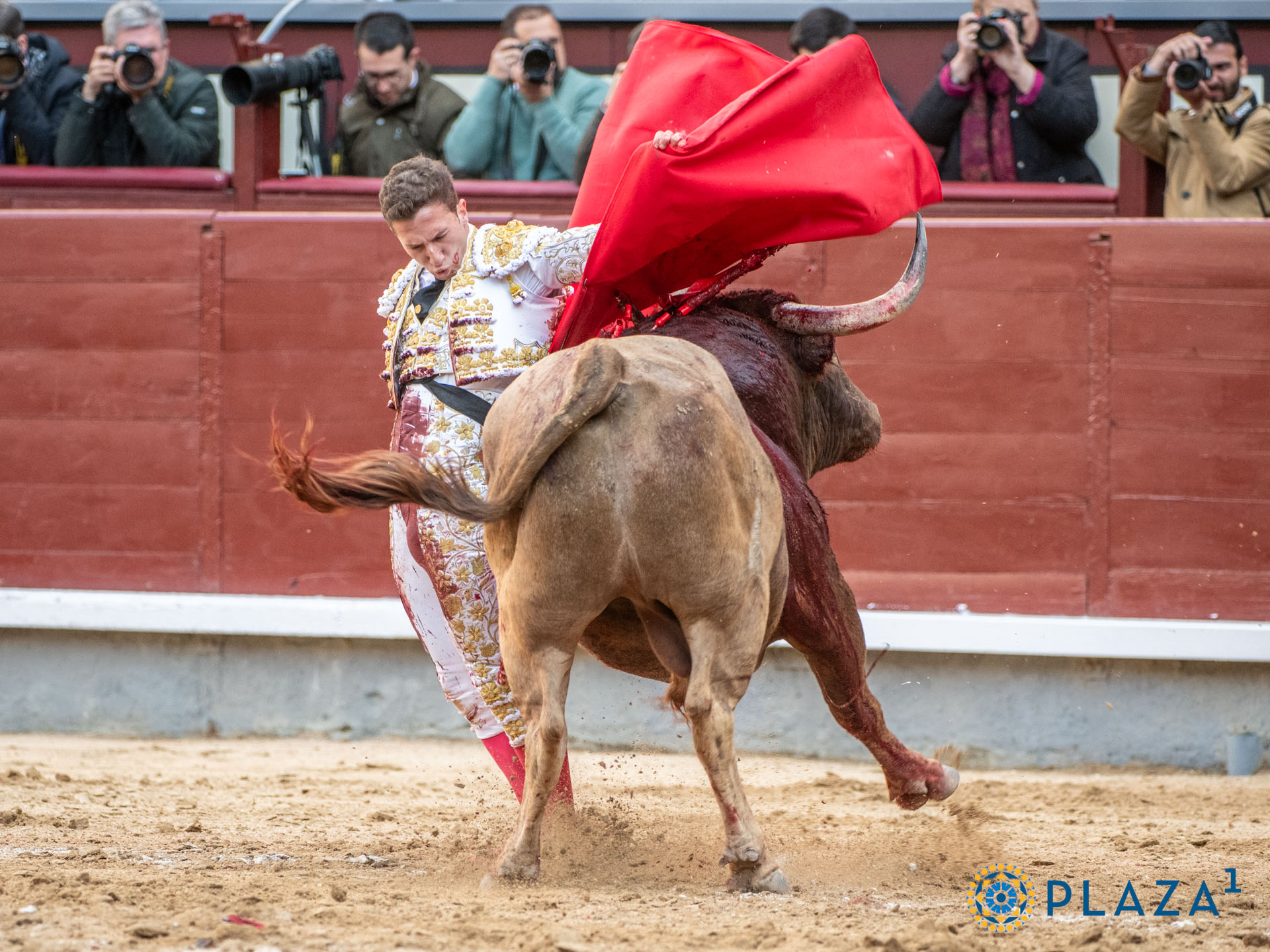 <p>Foto: Alfredo Arévalo / Plaza 1</p>