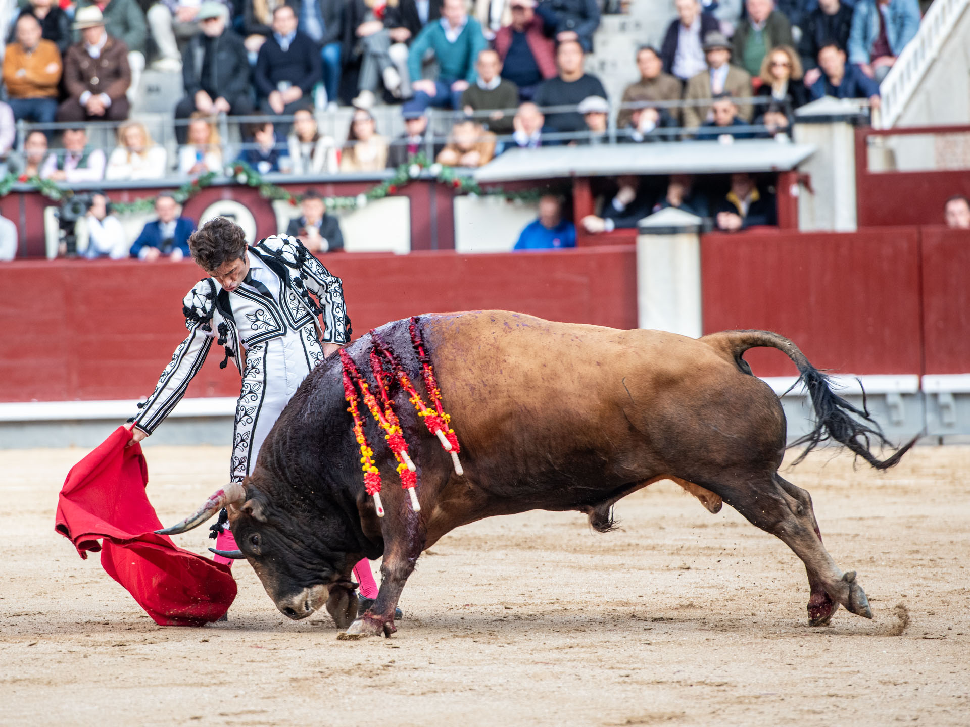 <p>Foto: Alfredo Arévalo / Plaza 1</p>
