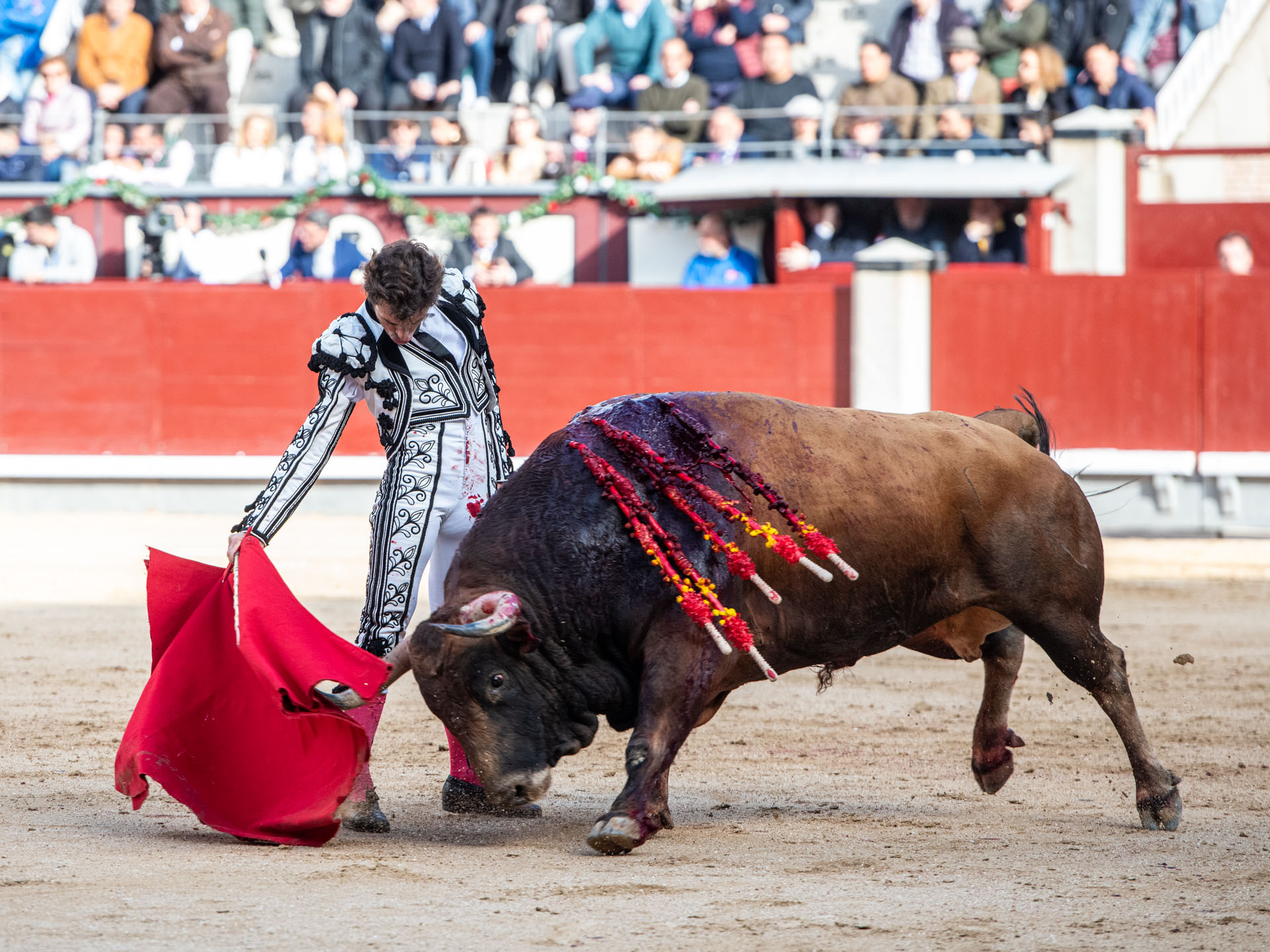 <p>Foto: Alfredo Arévalo / Plaza 1</p>