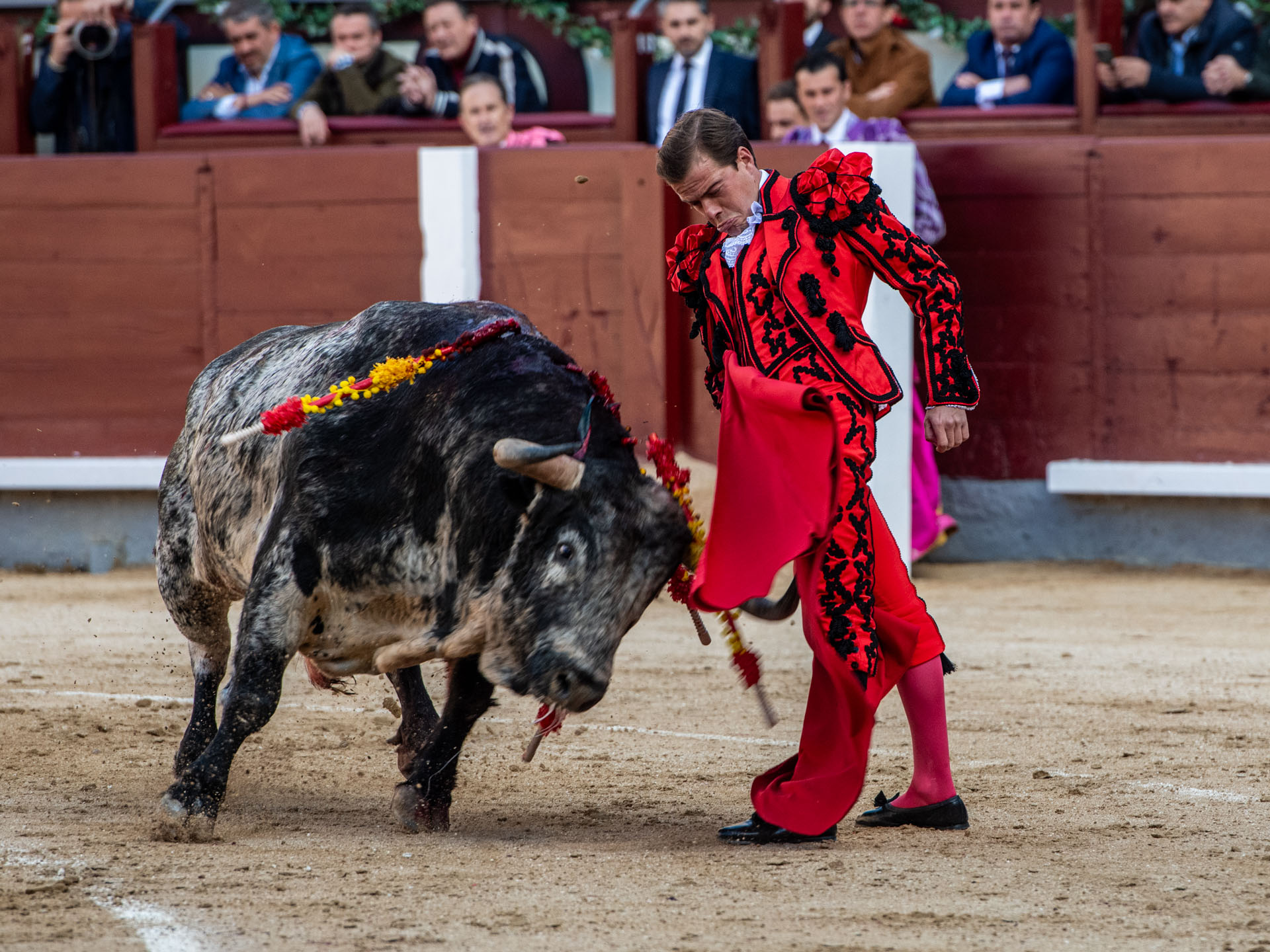 <p>Foto: Alfredo Arévalo / Plaza 1</p>