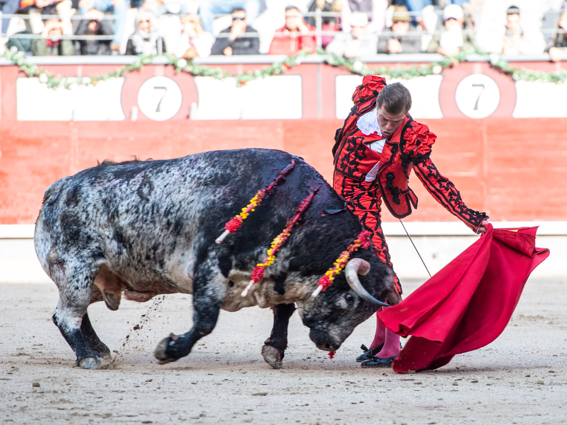 <p>Foto: Alfredo Arévalo / Plaza 1</p>