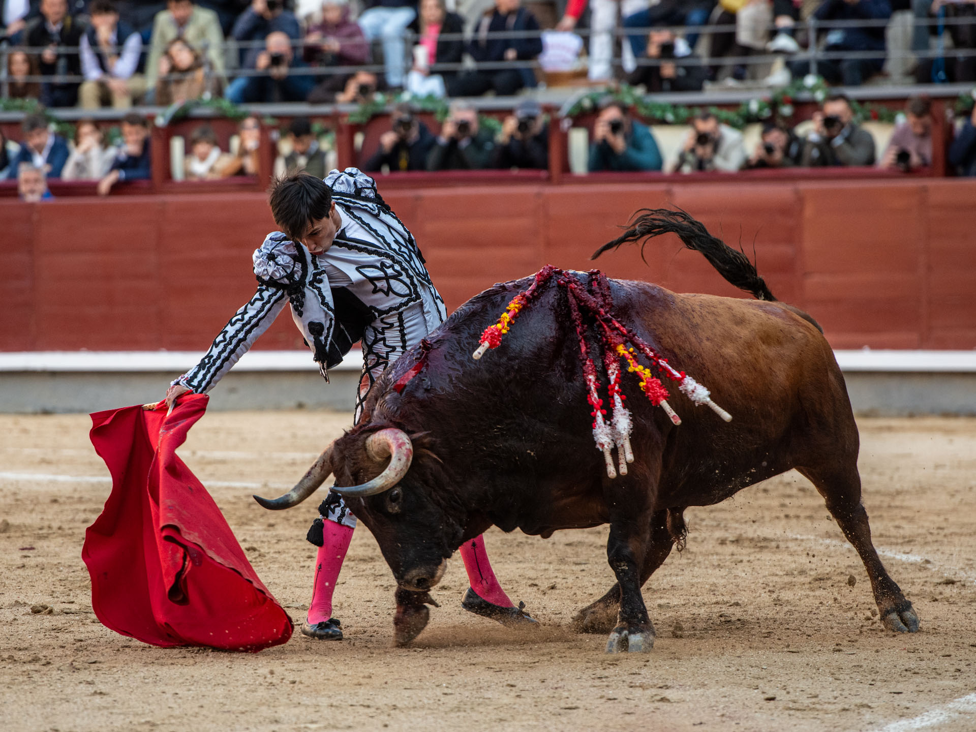 <p>Foto: Alfredo Arévalo / Plaza 1</p>