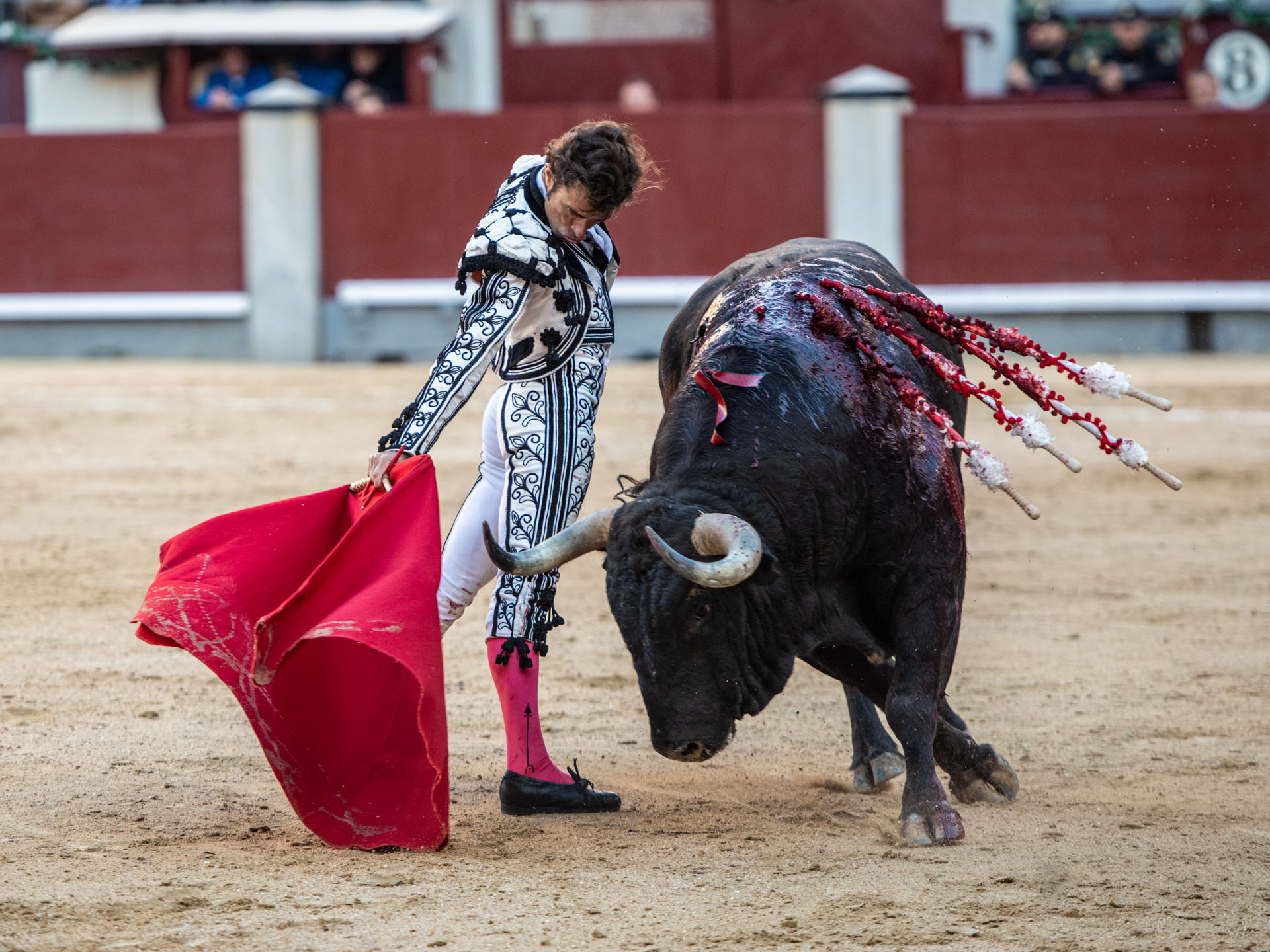 <p>Foto: Alfredo Arévalo / Plaza 1</p>
