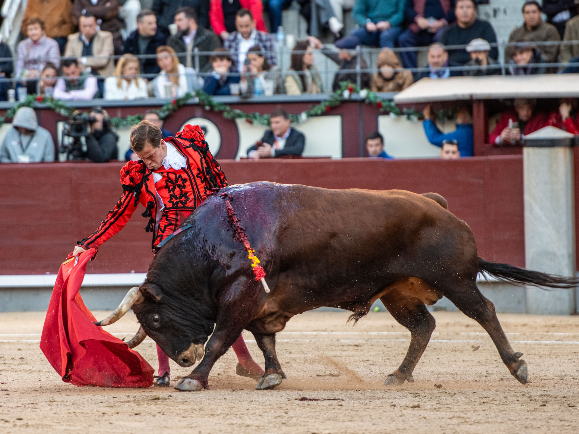 <p>Foto: Alfredo Arévalo / Plaza 1</p>