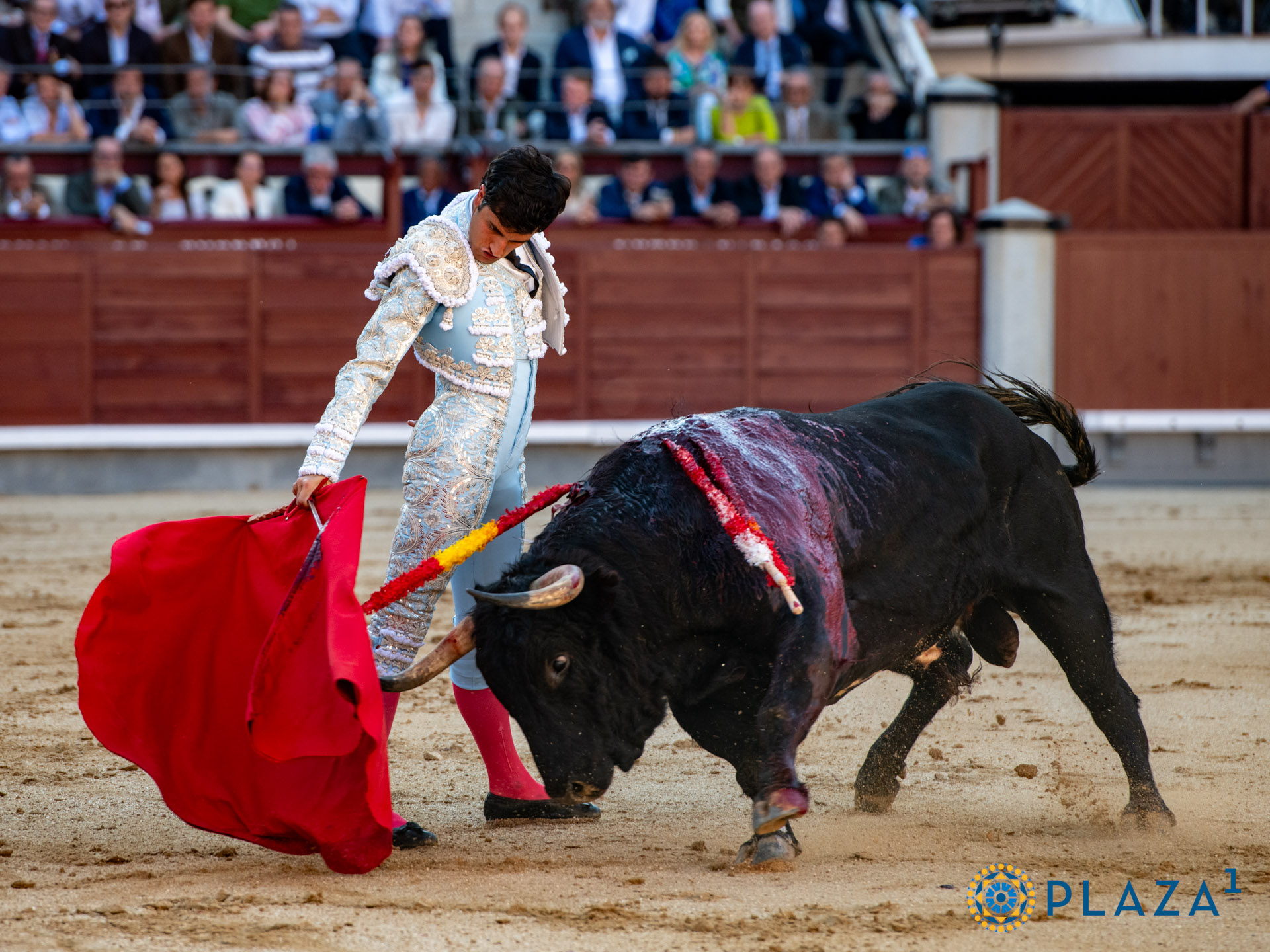 <p><span>Foto: Alfredo Arévalo / Plaza 1</span></p>