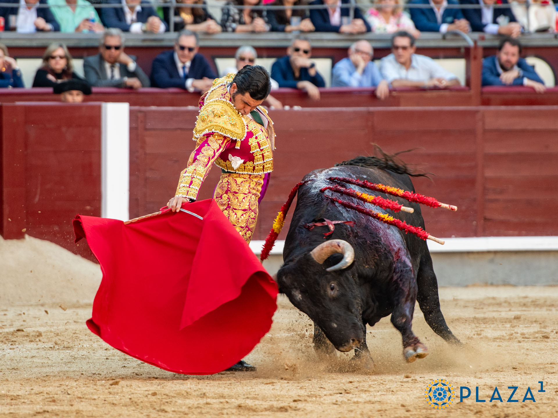 <p><span>Foto: Alfredo Arévalo / Plaza 1</span></p>