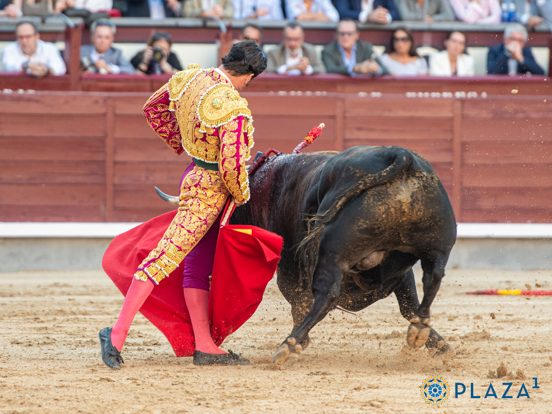<p><span>Foto: Alfredo Arévalo / Plaza 1</span></p>