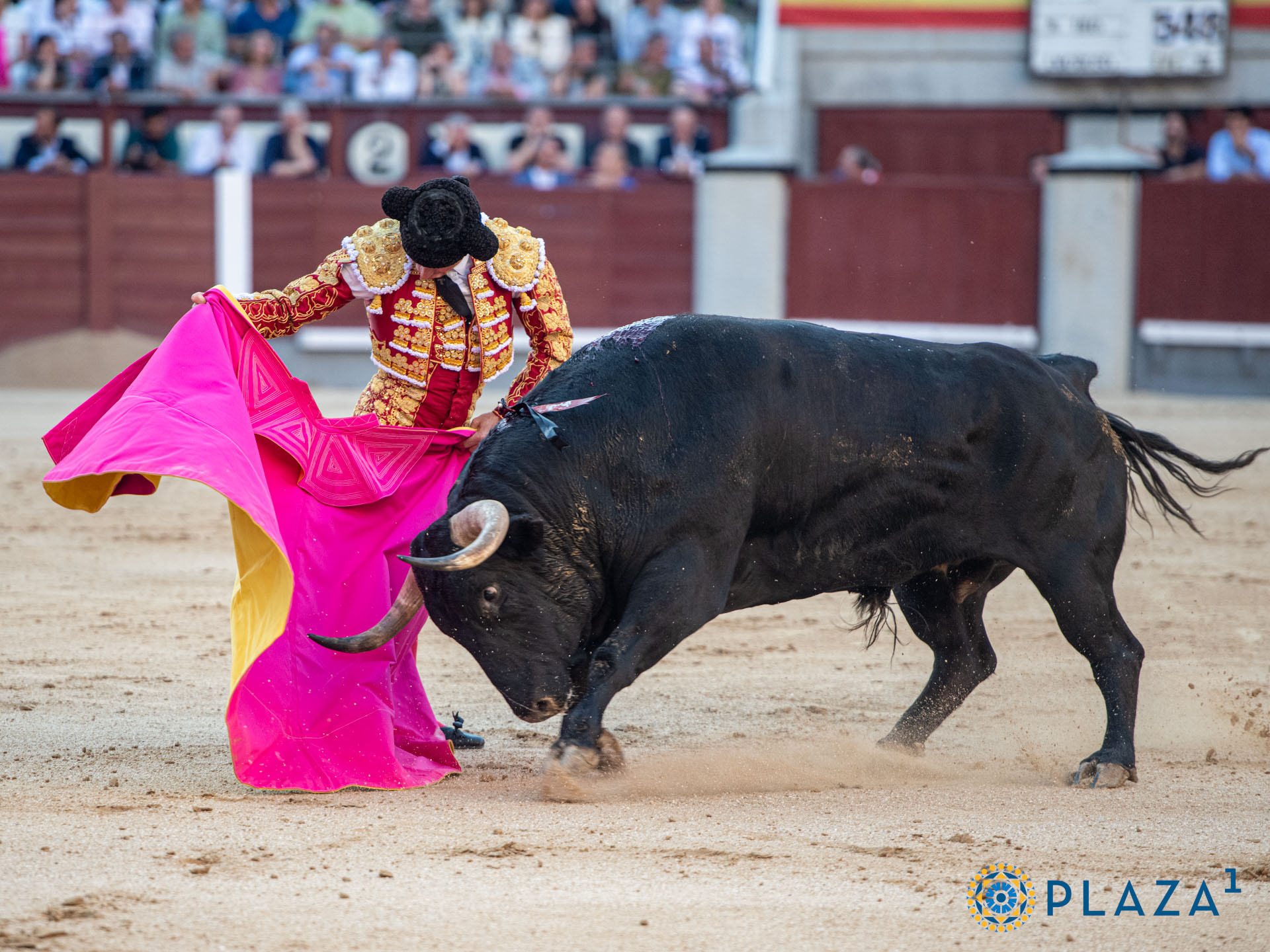 <p><span>Foto: Alfredo Arévalo / Plaza 1</span></p>
