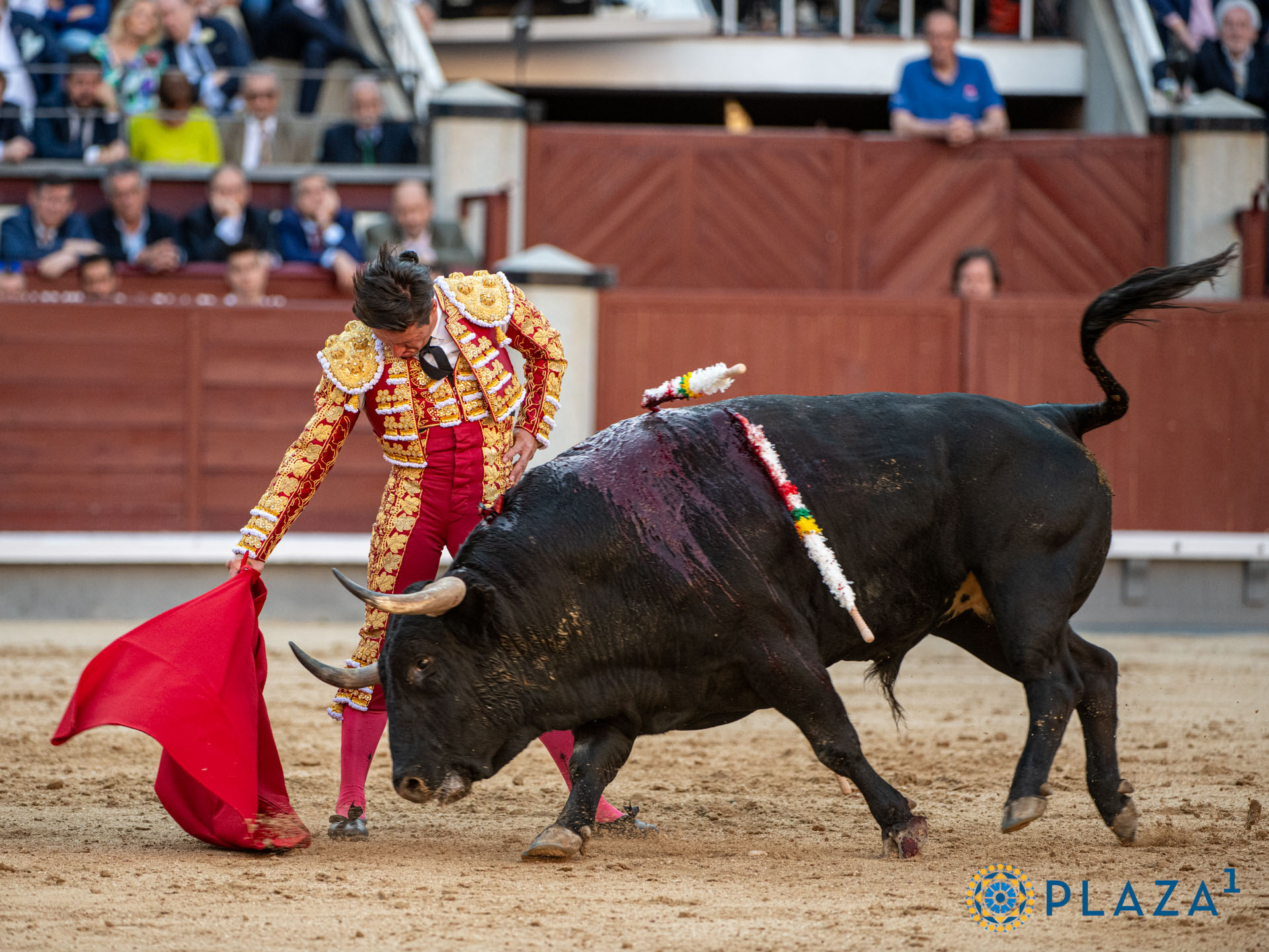 <p><span>Foto: Alfredo Arévalo / Plaza 1</span></p>