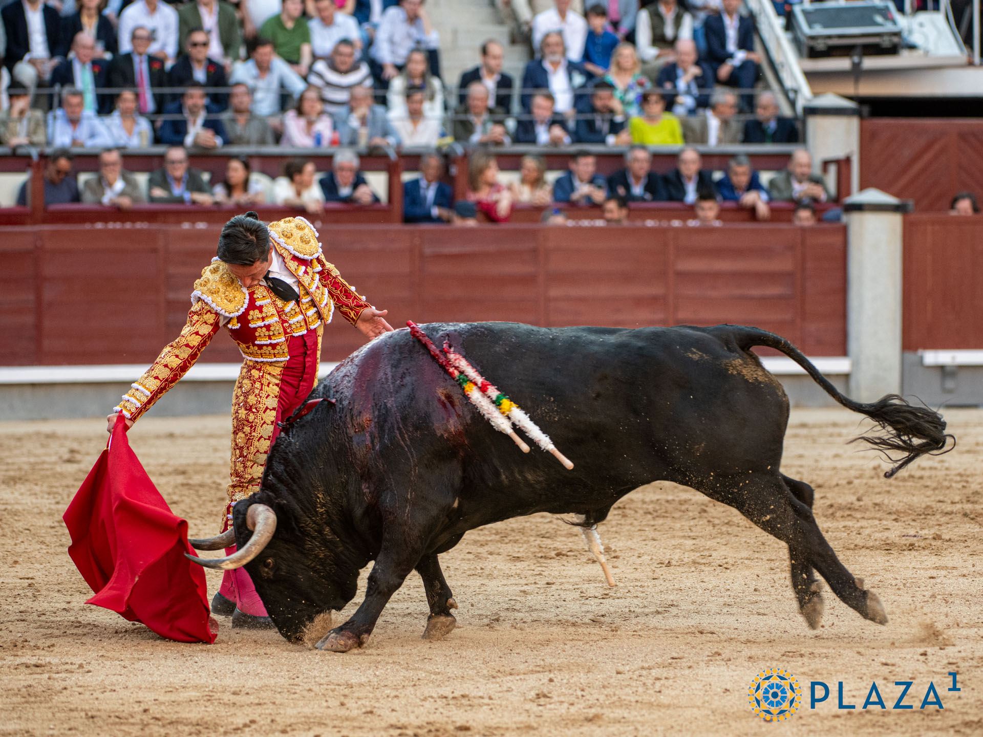 <p><span>Foto: Alfredo Arévalo / Plaza 1</span></p>