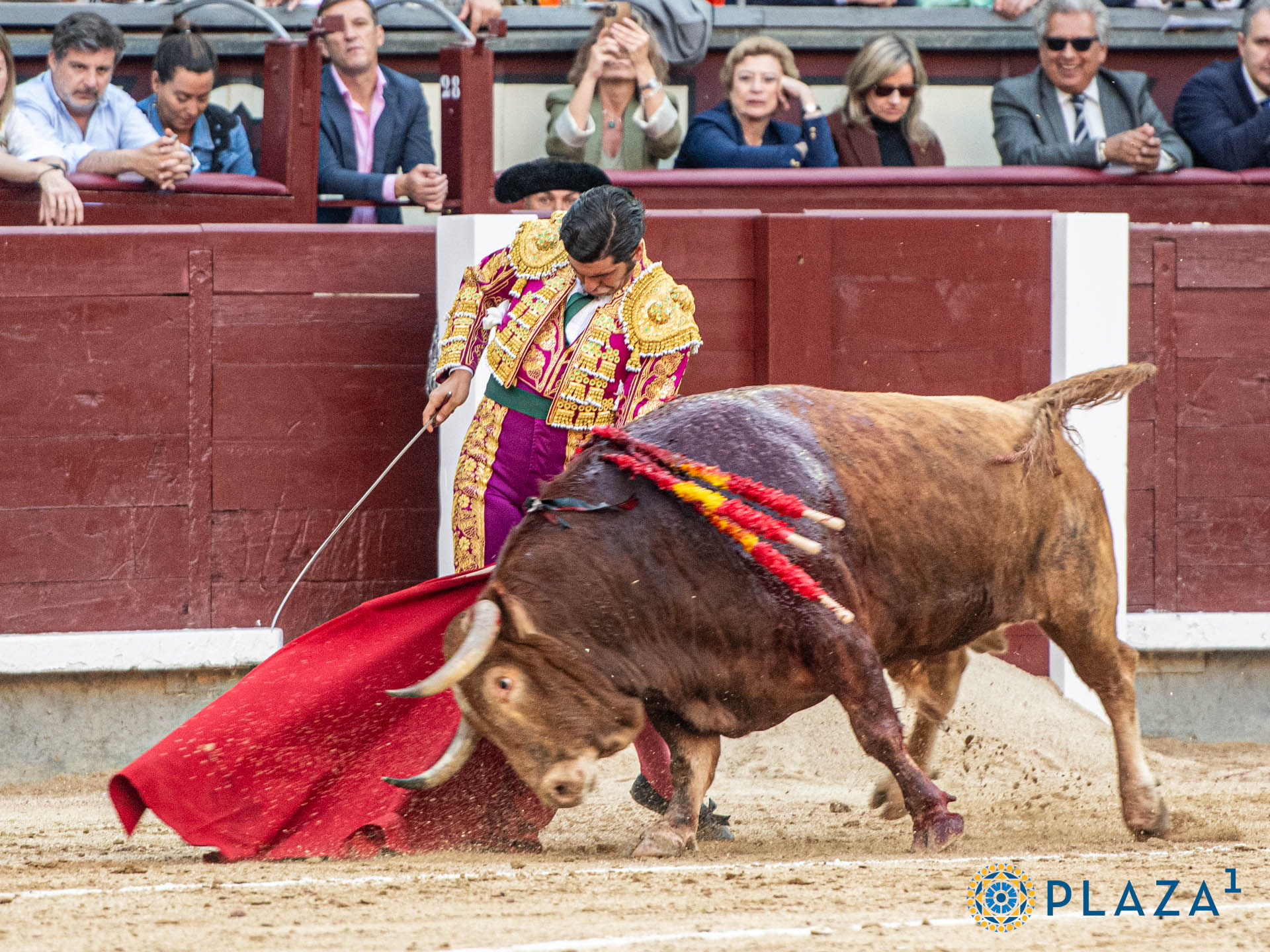 <p><span>Foto: Alfredo Arévalo / Plaza 1</span></p>