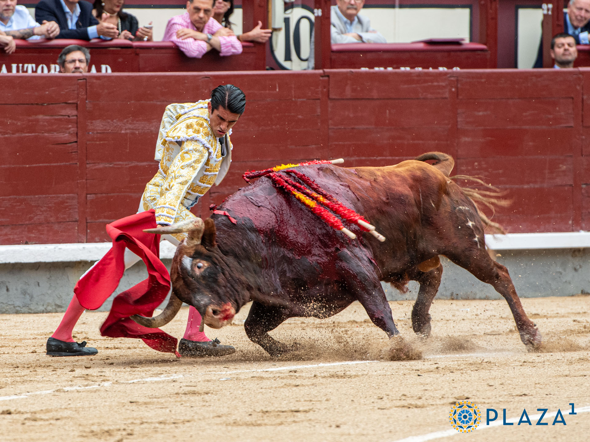 <p>Foto: Alfredo Arévalo / Plaza 1</p>
