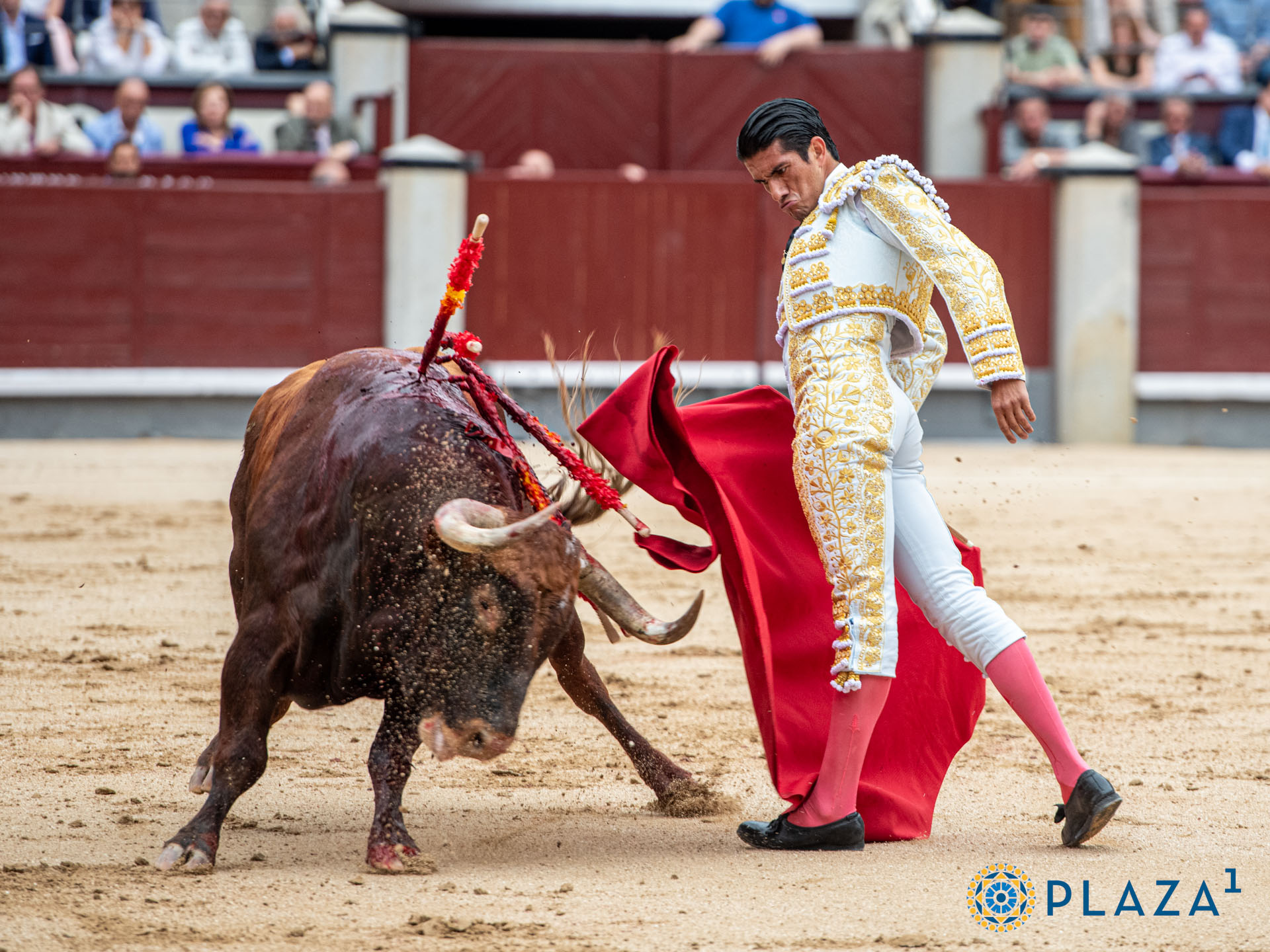 <p>Foto: Alfredo Arévalo / Plaza 1</p>