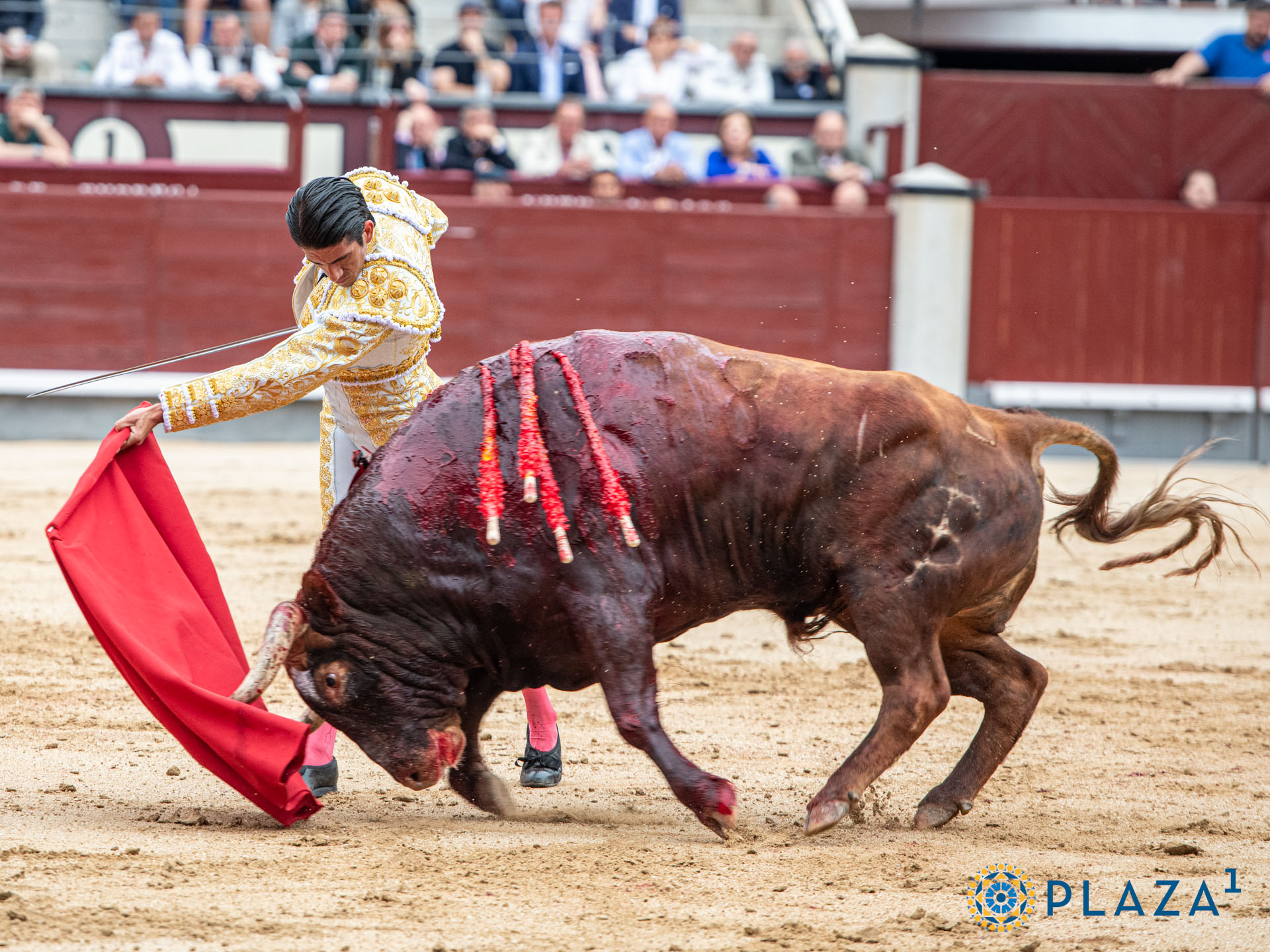 <p>Foto: Alfredo Arévalo / Plaza 1</p>
