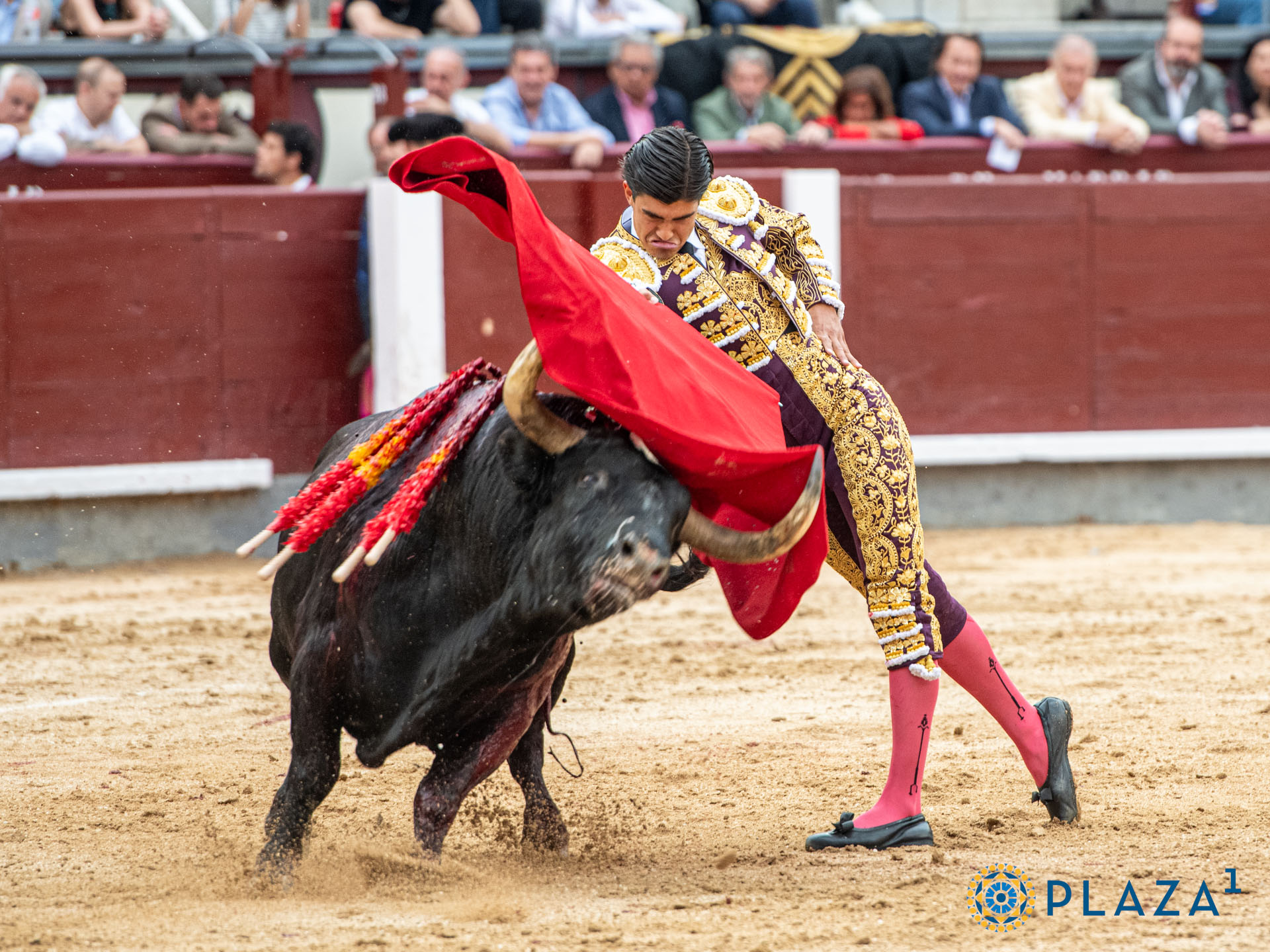 <p>Foto: Alfredo Arévalo / Plaza 1</p>