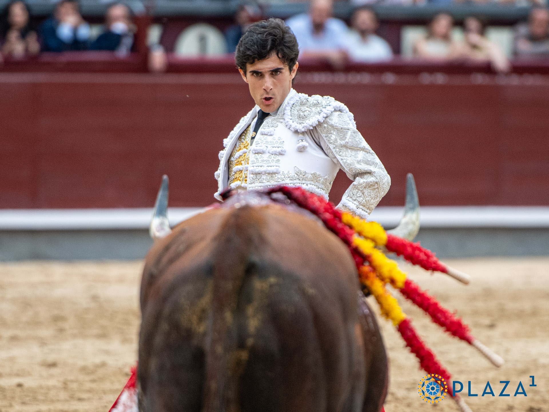 <p>Foto: Alfredo Arévalo / Plaza 1</p>