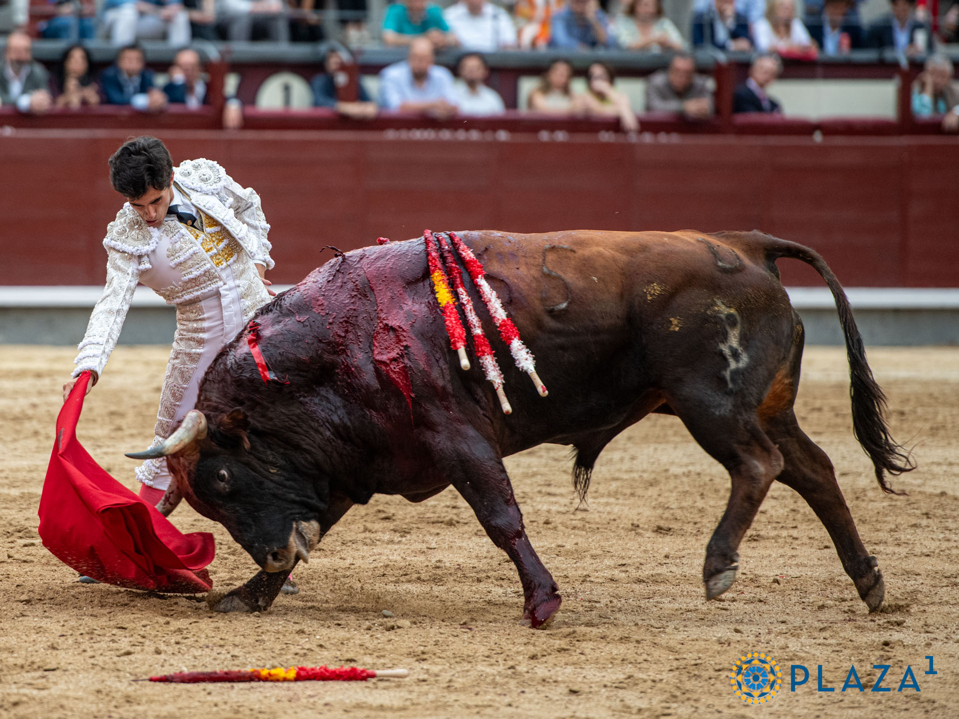 <p>Foto: Alfredo Arévalo / Plaza 1</p>
