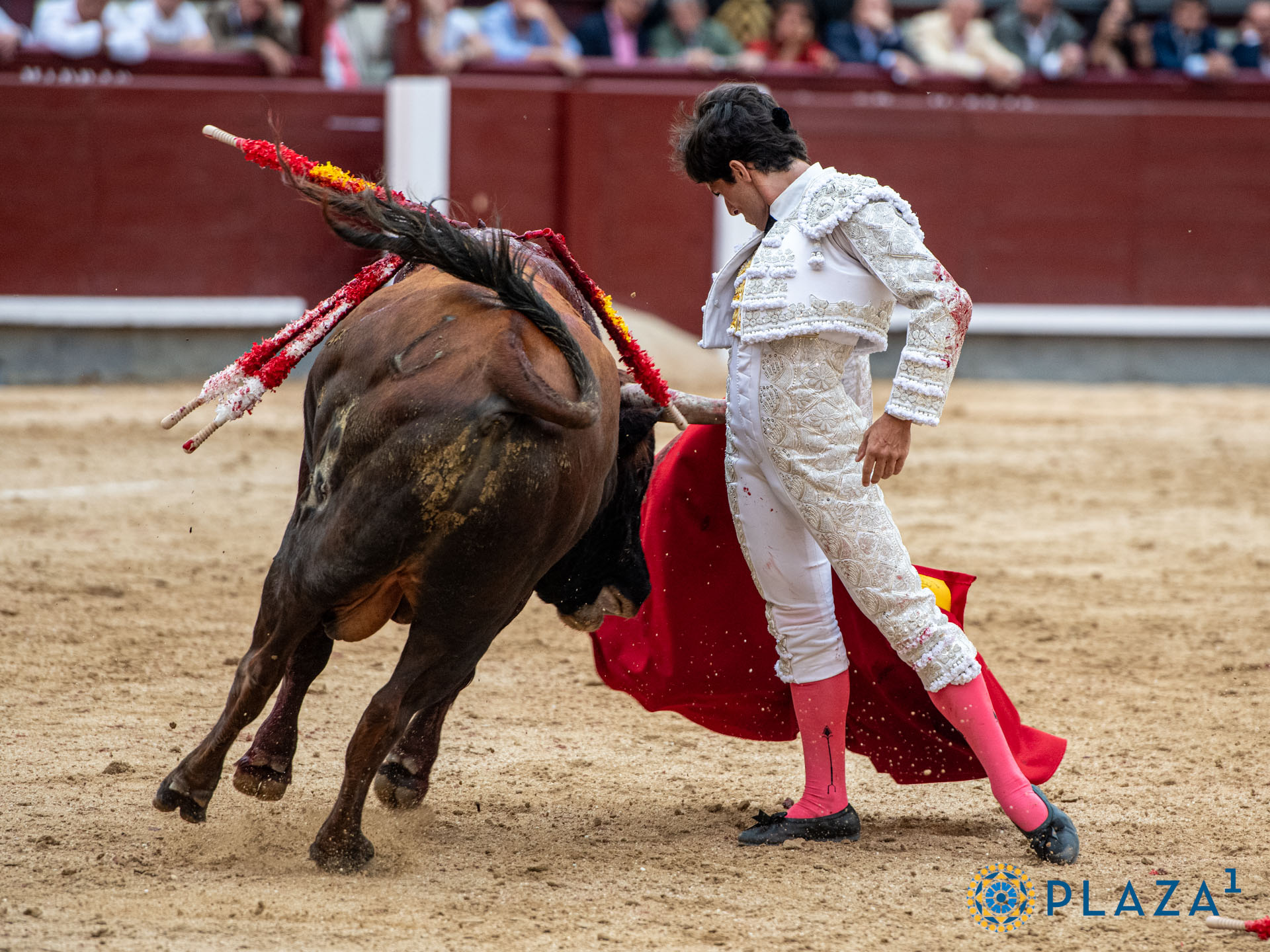<p>Foto: Alfredo Arévalo / Plaza 1</p>