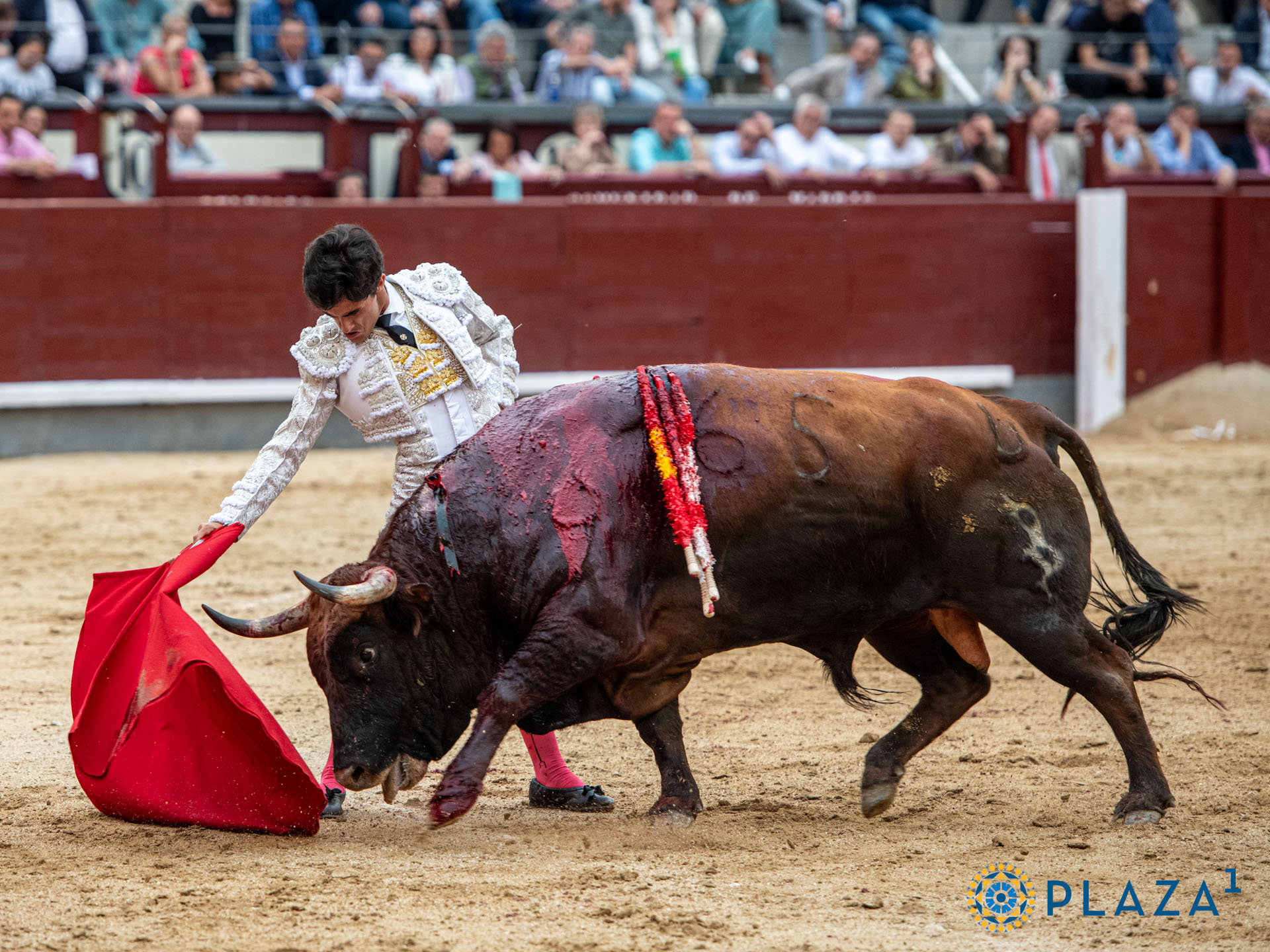 <p>Foto: Alfredo Arévalo / Plaza 1</p>