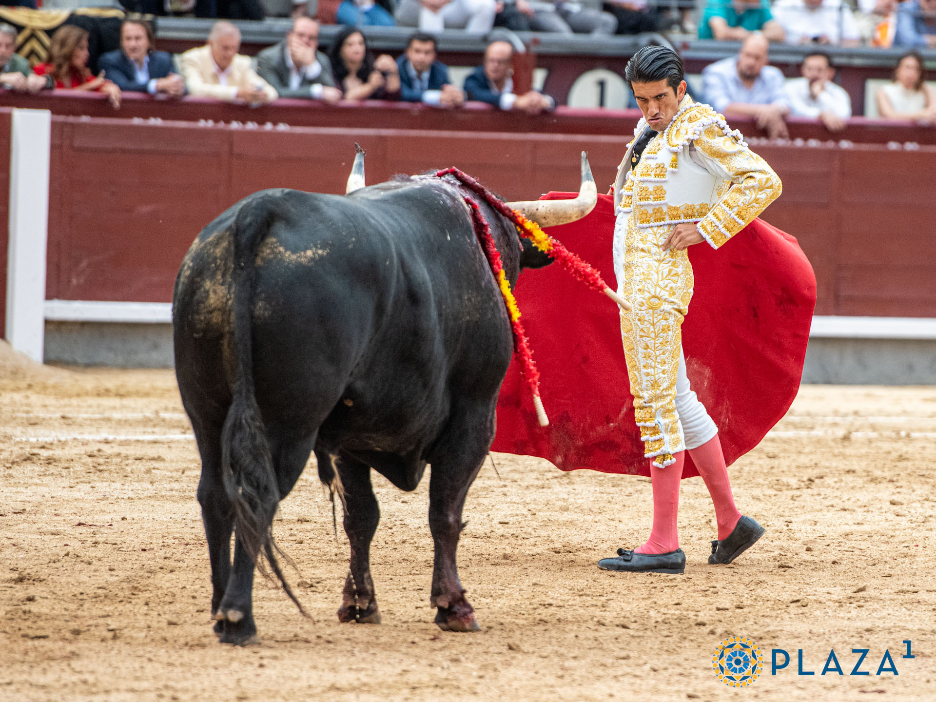 <p>Foto: Alfredo Arévalo / Plaza 1</p>