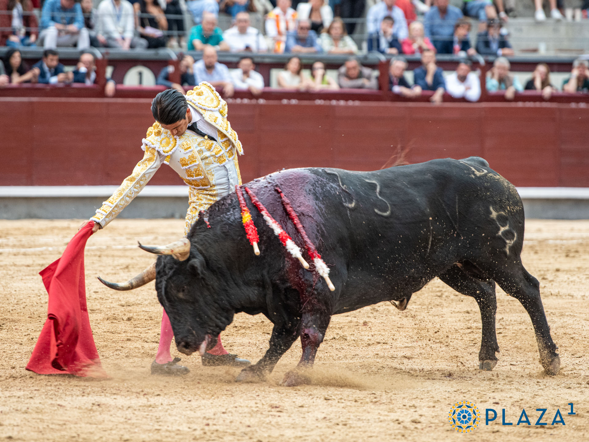 <p>Foto: Alfredo Arévalo / Plaza 1</p>