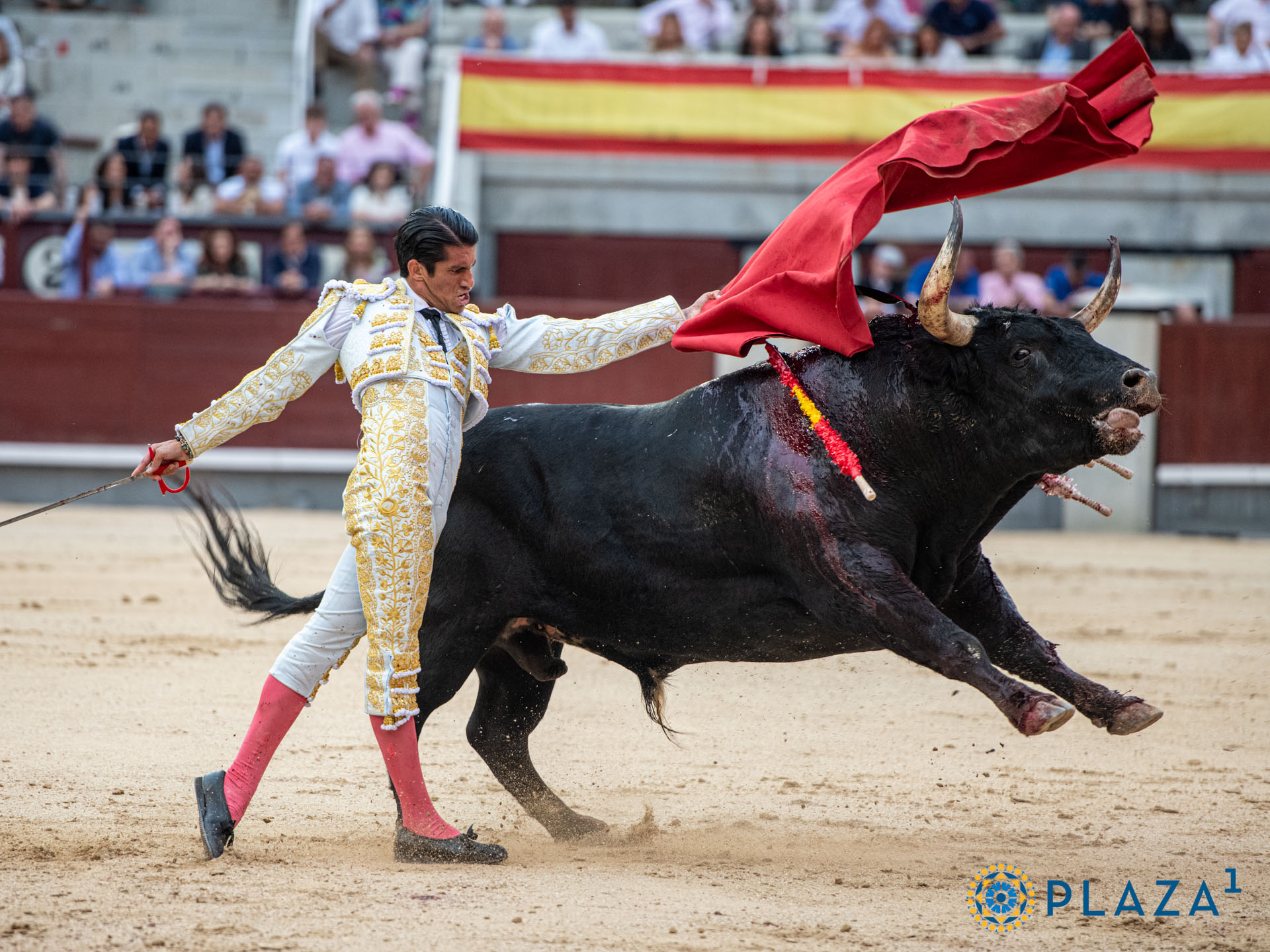 <p>Foto: Alfredo Arévalo / Plaza 1</p>