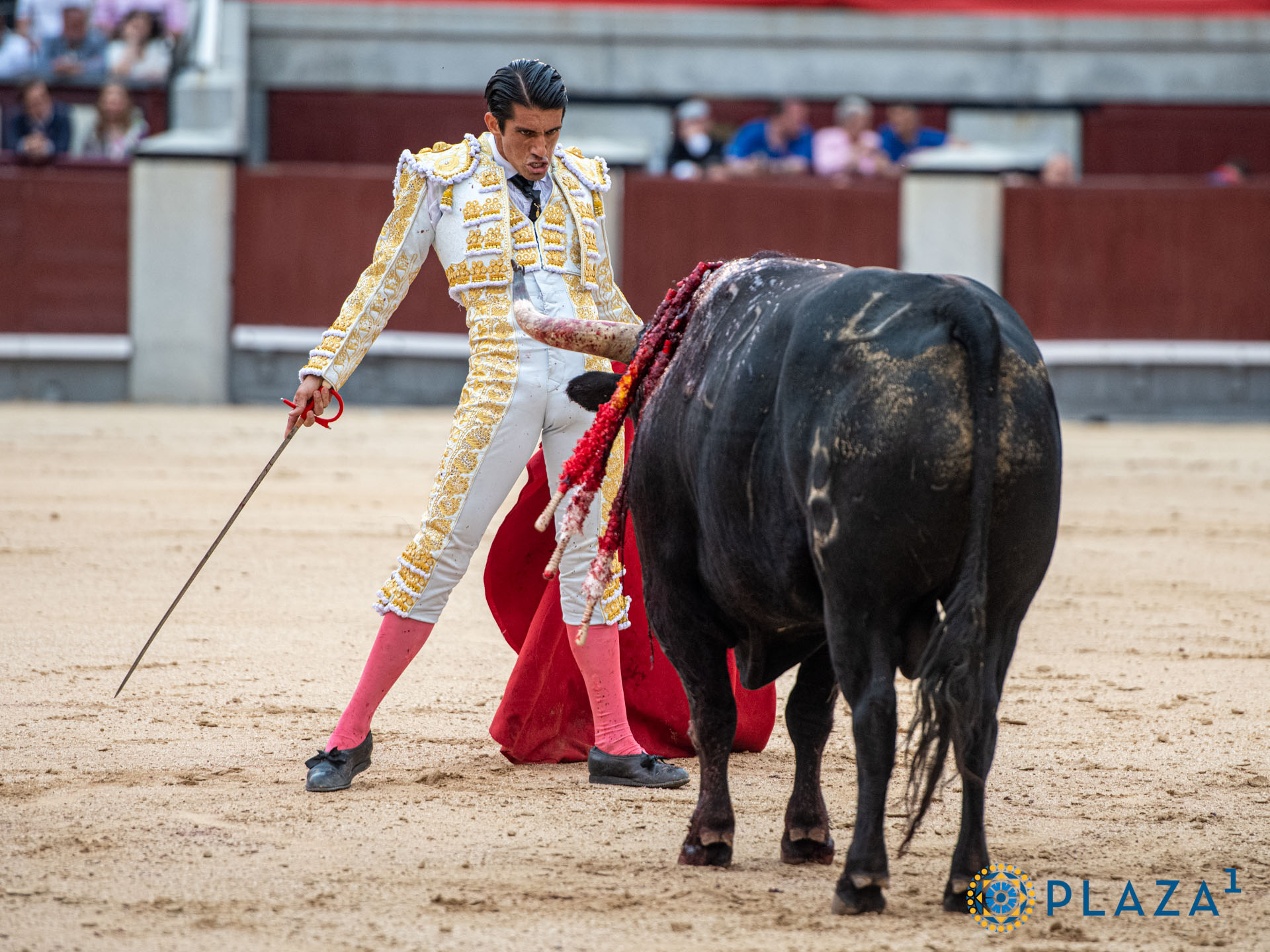 <p>Foto: Alfredo Arévalo / Plaza 1</p>