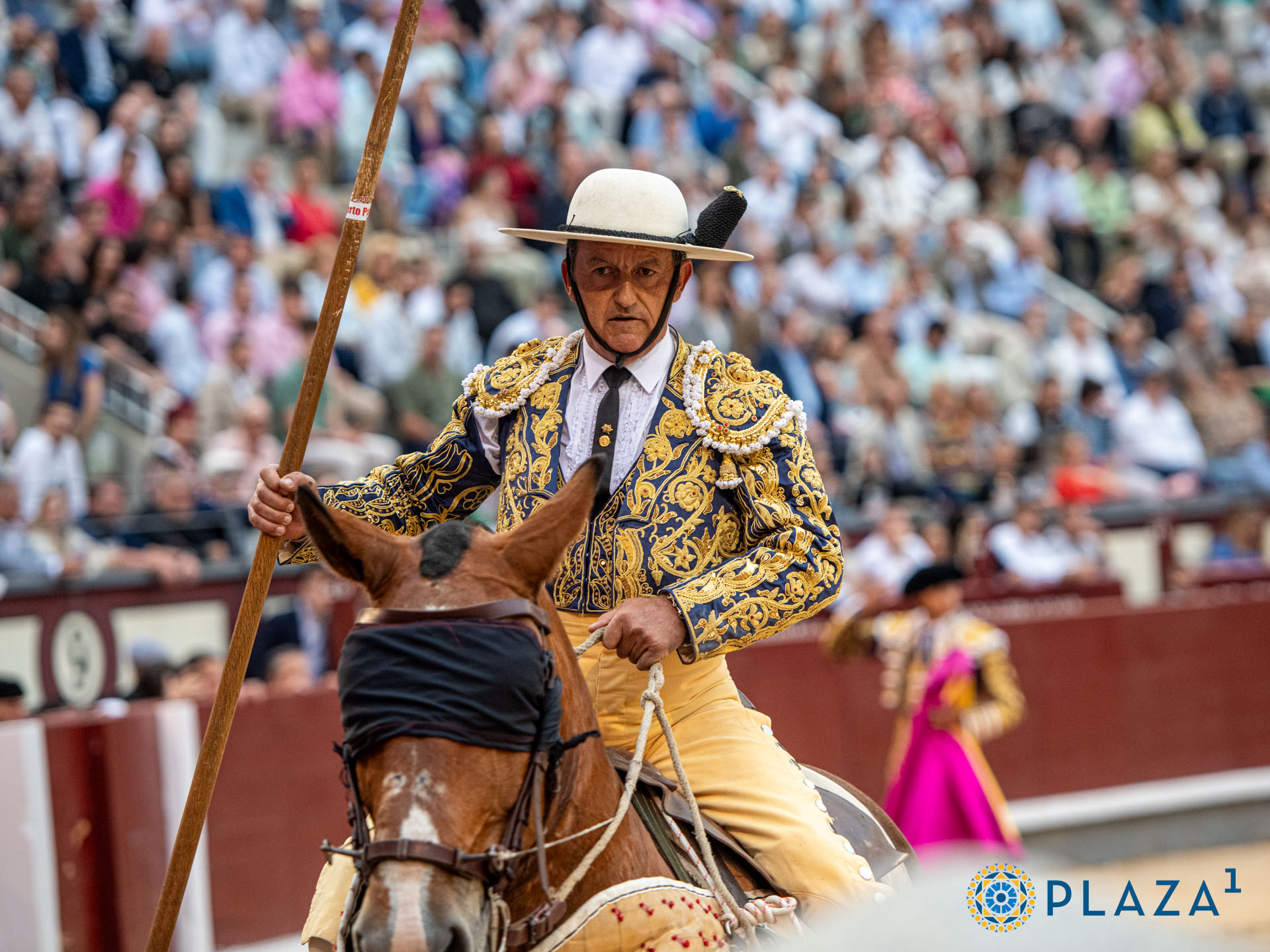 <p>Foto: Alfredo Arévalo / Plaza 1</p>