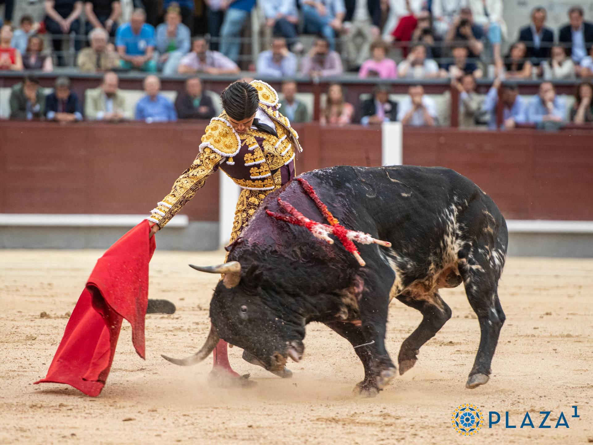 <p>Foto: Alfredo Arévalo / Plaza 1</p>