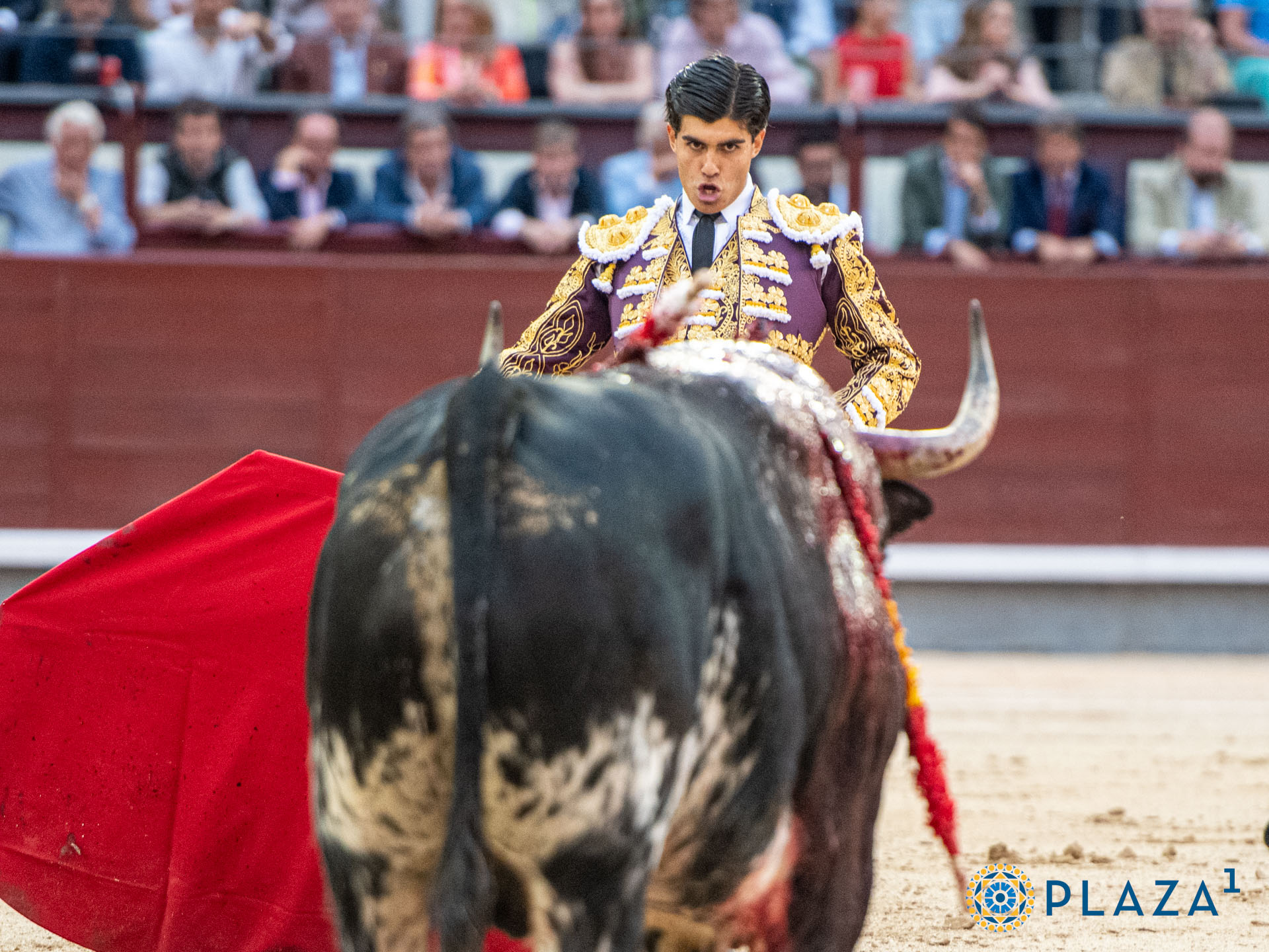 <p>Foto: Alfredo Arévalo / Plaza 1</p>