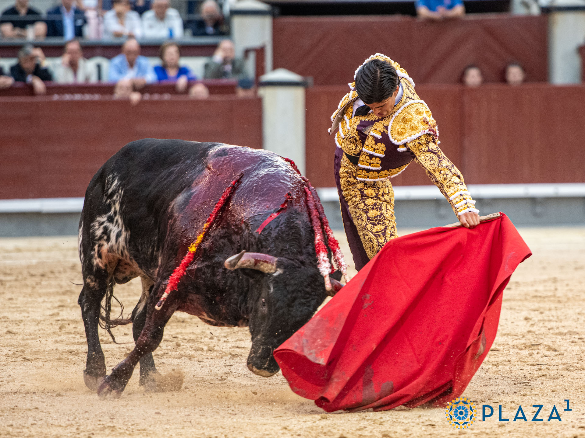 <p>Foto: Alfredo Arévalo / Plaza 1</p>