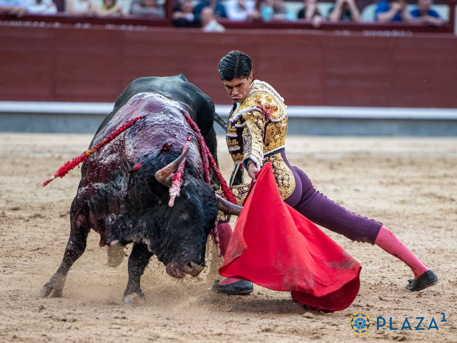 <p>Foto: Alfredo Arévalo / Plaza 1</p>