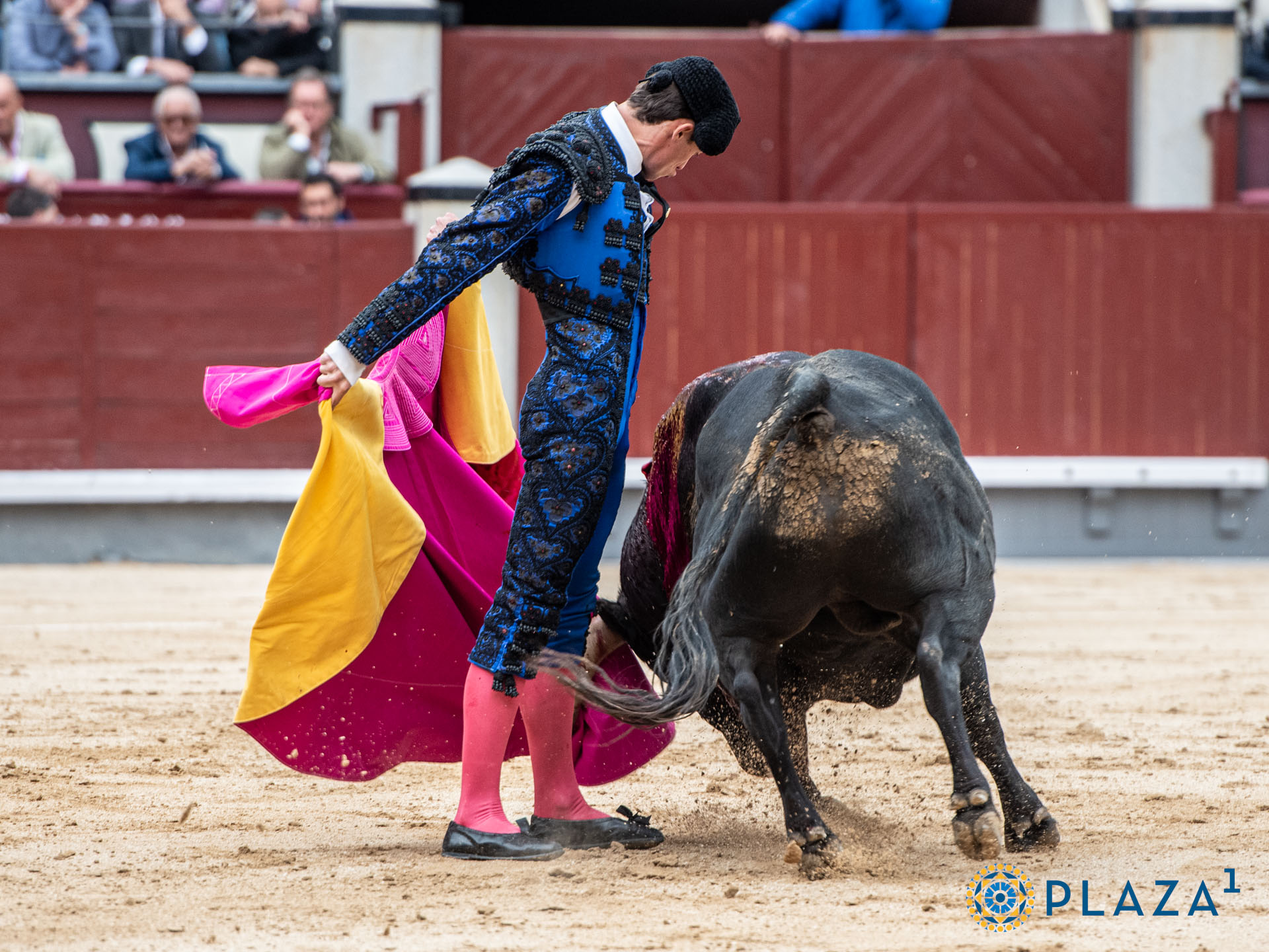 <p>Foto: Alfredo Arévalo / Plaza 1</p>