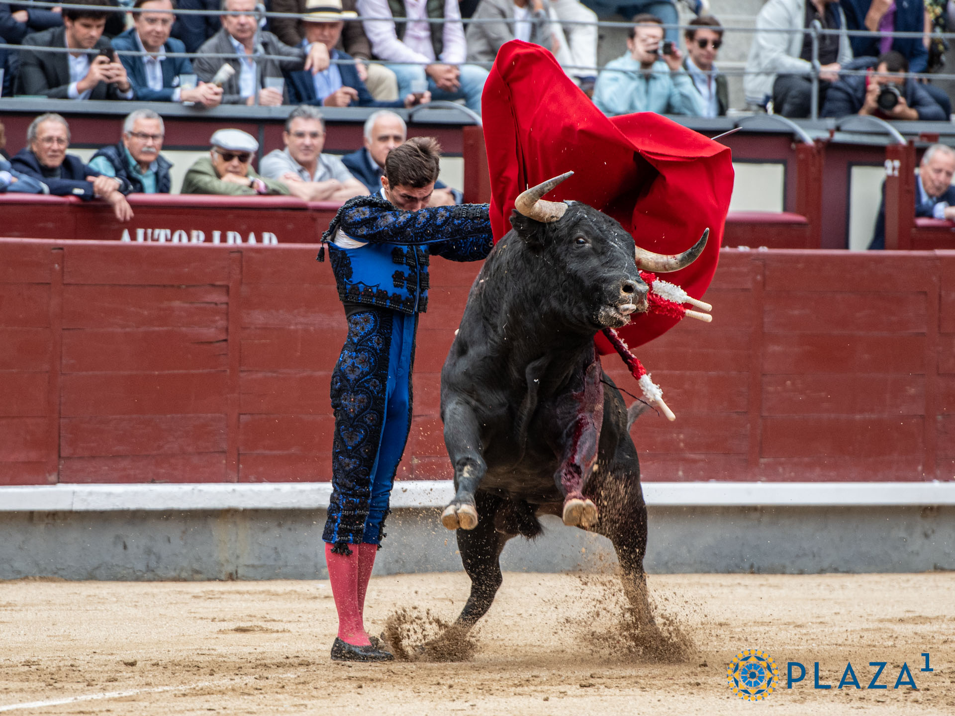 <p>Foto: Alfredo Arévalo / Plaza 1</p>