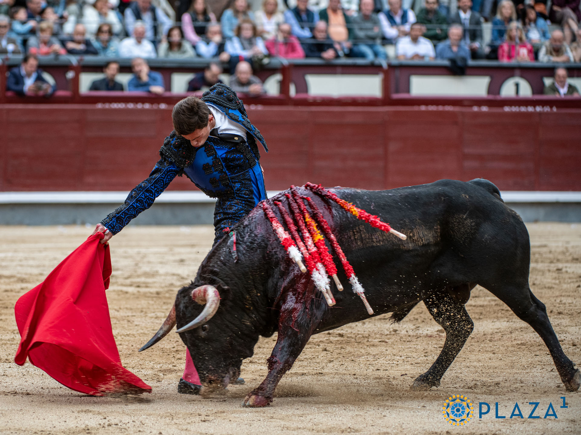 <p>Foto: Alfredo Arévalo / Plaza 1</p>