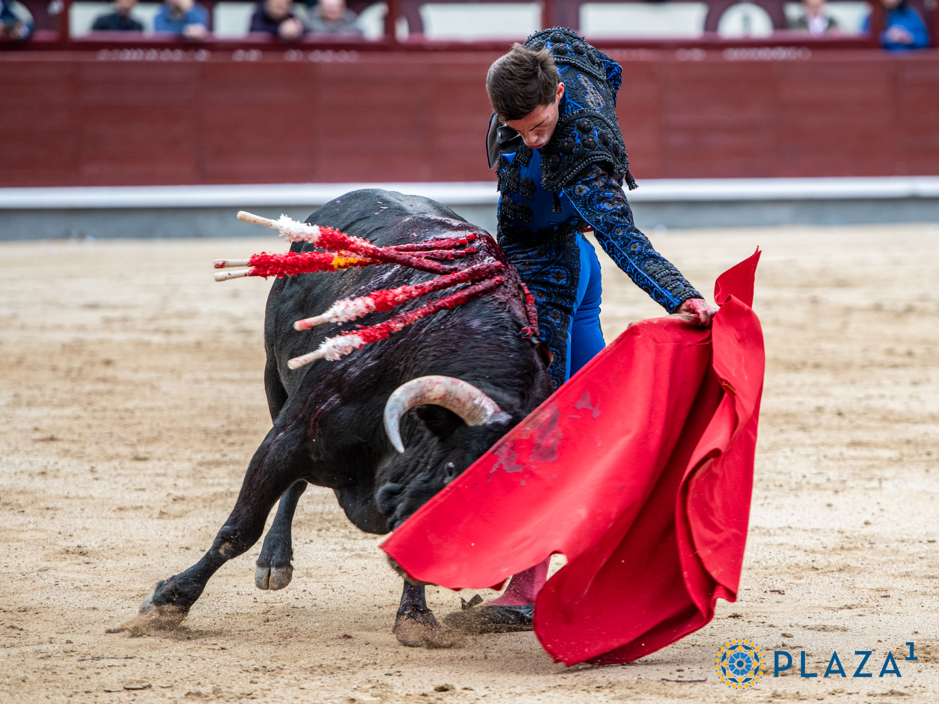 <p>Foto: Alfredo Arévalo / Plaza 1</p>