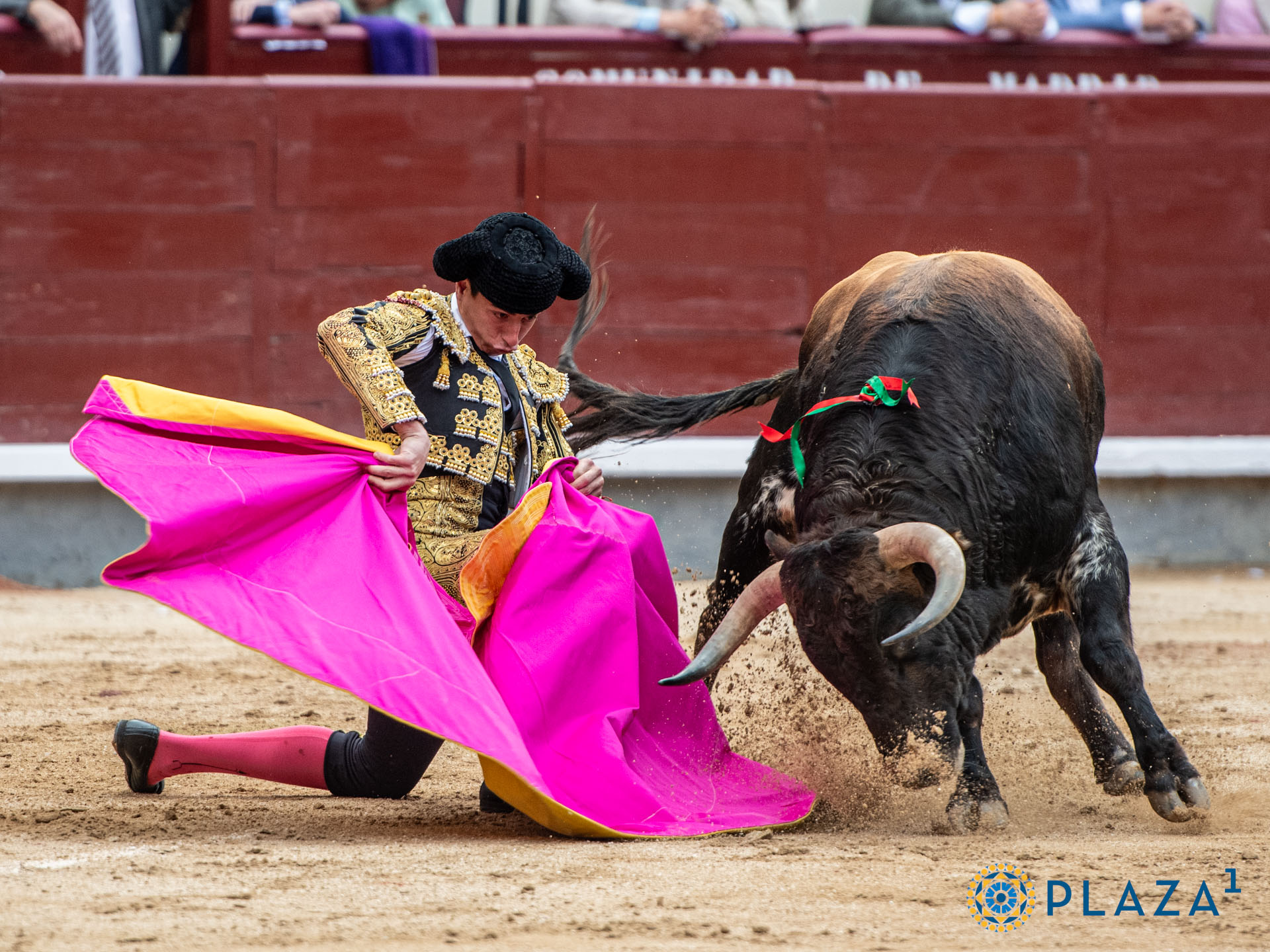 <p>Foto: Alfredo Arévalo / Plaza 1</p>