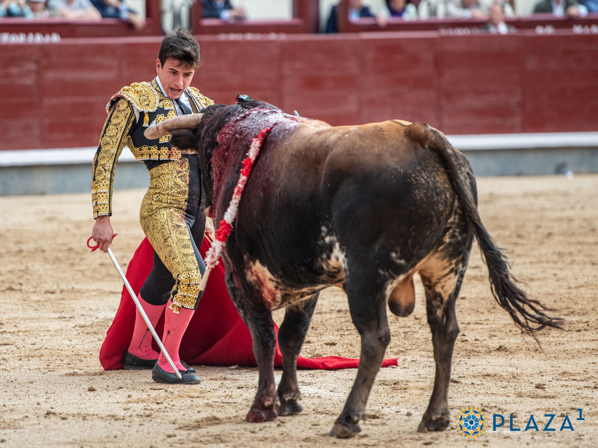 <p>Foto: Alfredo Arévalo / Plaza 1</p>