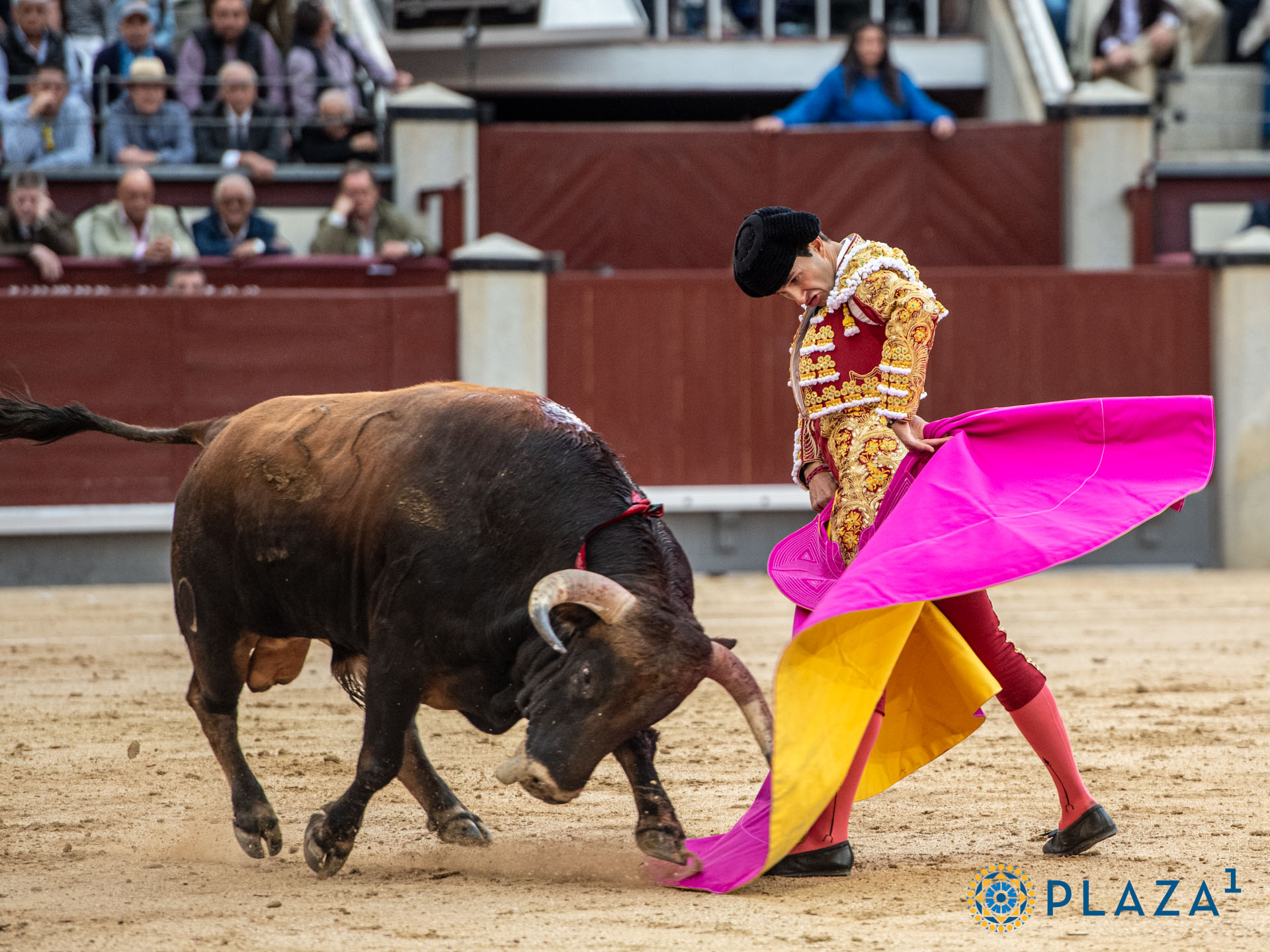 <p>Foto: Alfredo Arévalo / Plaza 1</p>