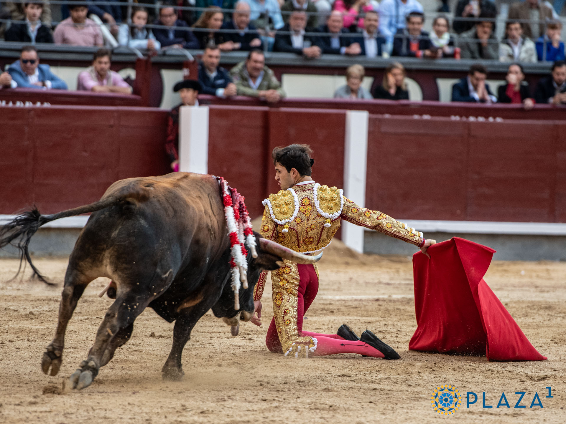 <p>Foto: Alfredo Arévalo / Plaza 1</p>