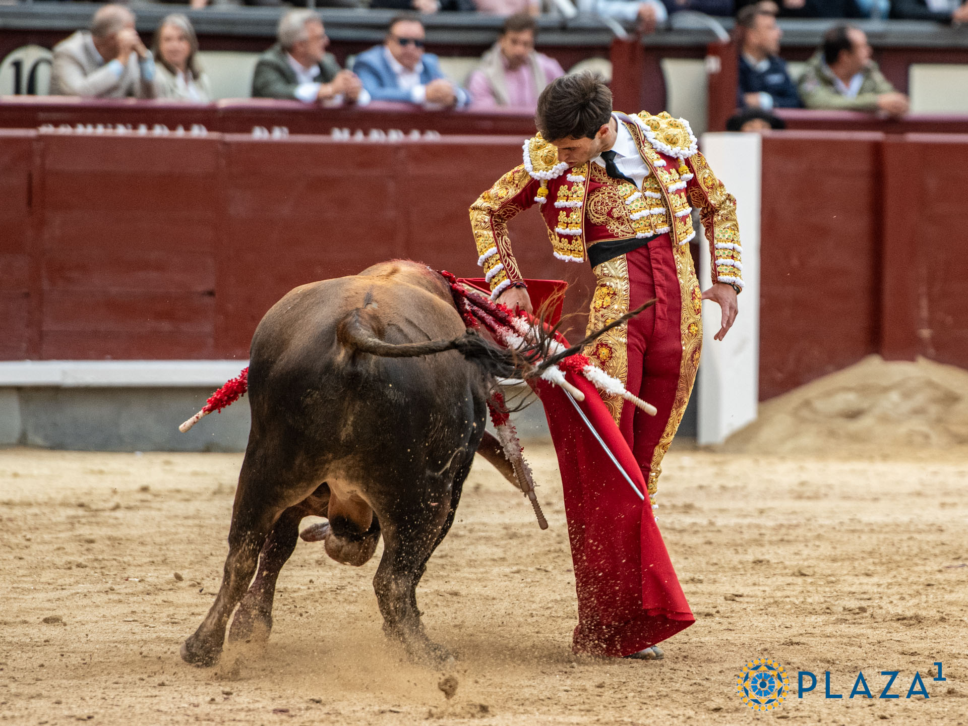 <p>Foto: Alfredo Arévalo / Plaza 1</p>