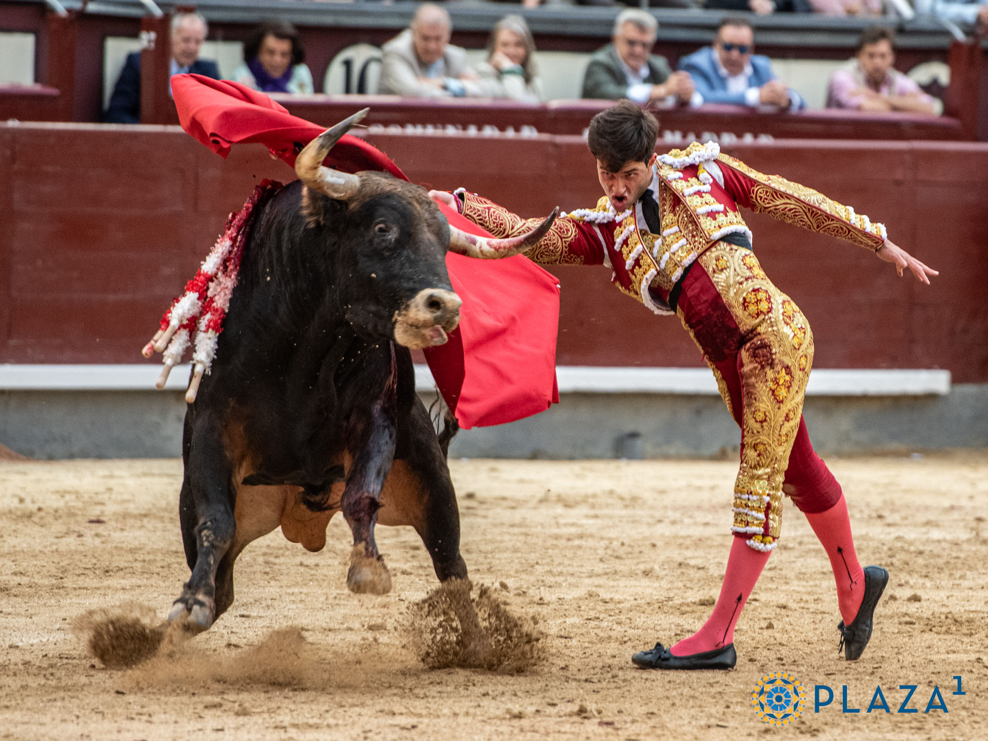 <p>Foto: Alfredo Arévalo / Plaza 1</p>