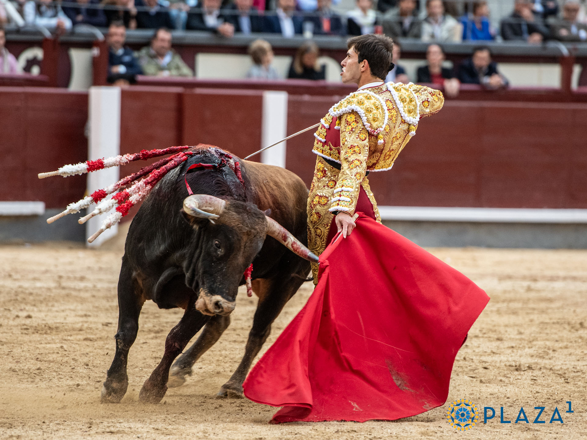 <p>Foto: Alfredo Arévalo / Plaza 1</p>