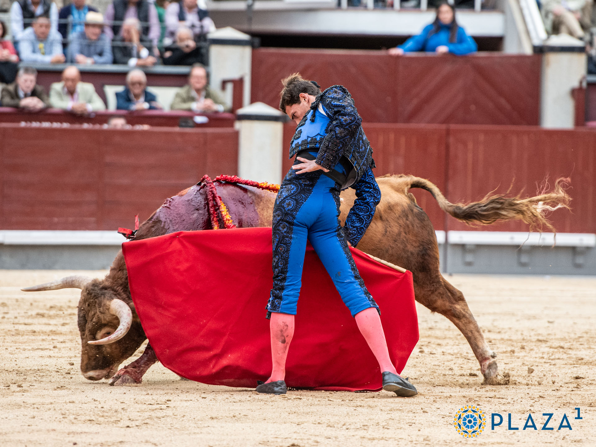 <p>Foto: Alfredo Arévalo / Plaza 1</p>